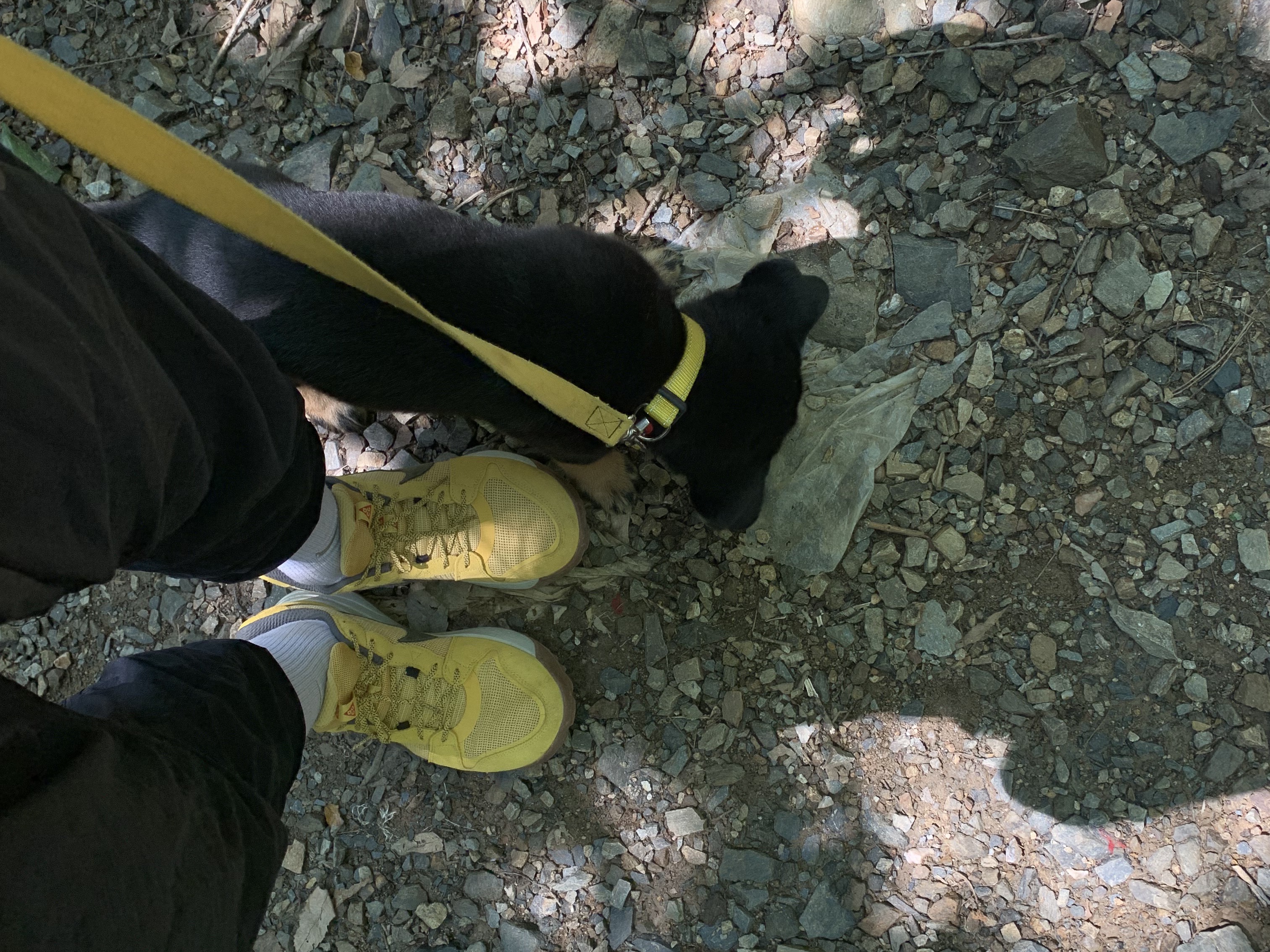 Nike ACG Lowcate Solar Flare 착용 스타일