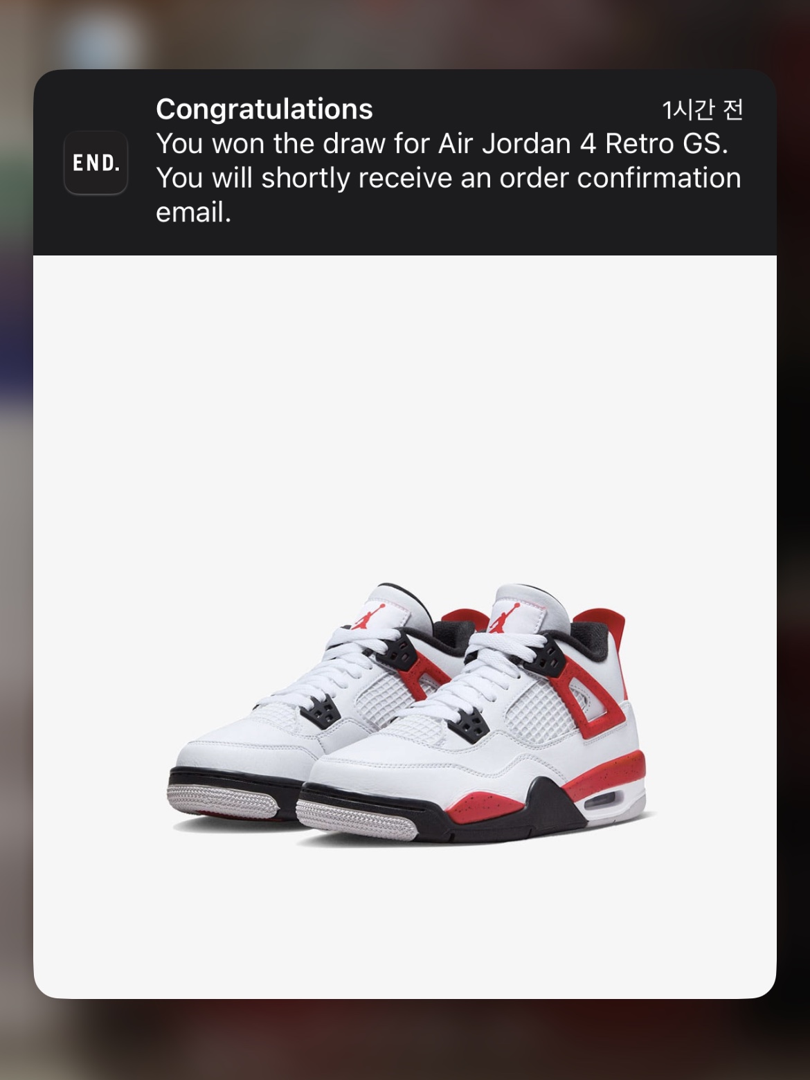 (GS) Jordan 4 Retro Red Cement, Nike Dunk Low SE Free.99 White 착용 스타일 - 1