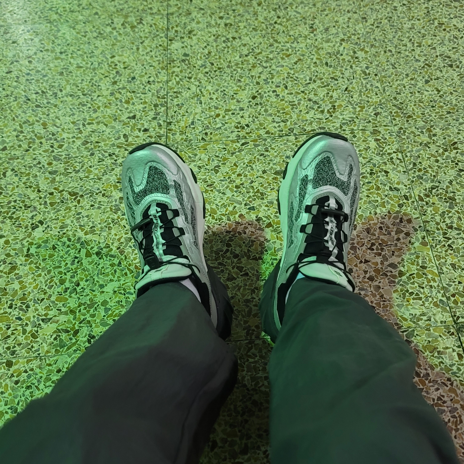 Salomon Speedverse PRG Silver Frost Grey Lunar Rock 착용 스타일