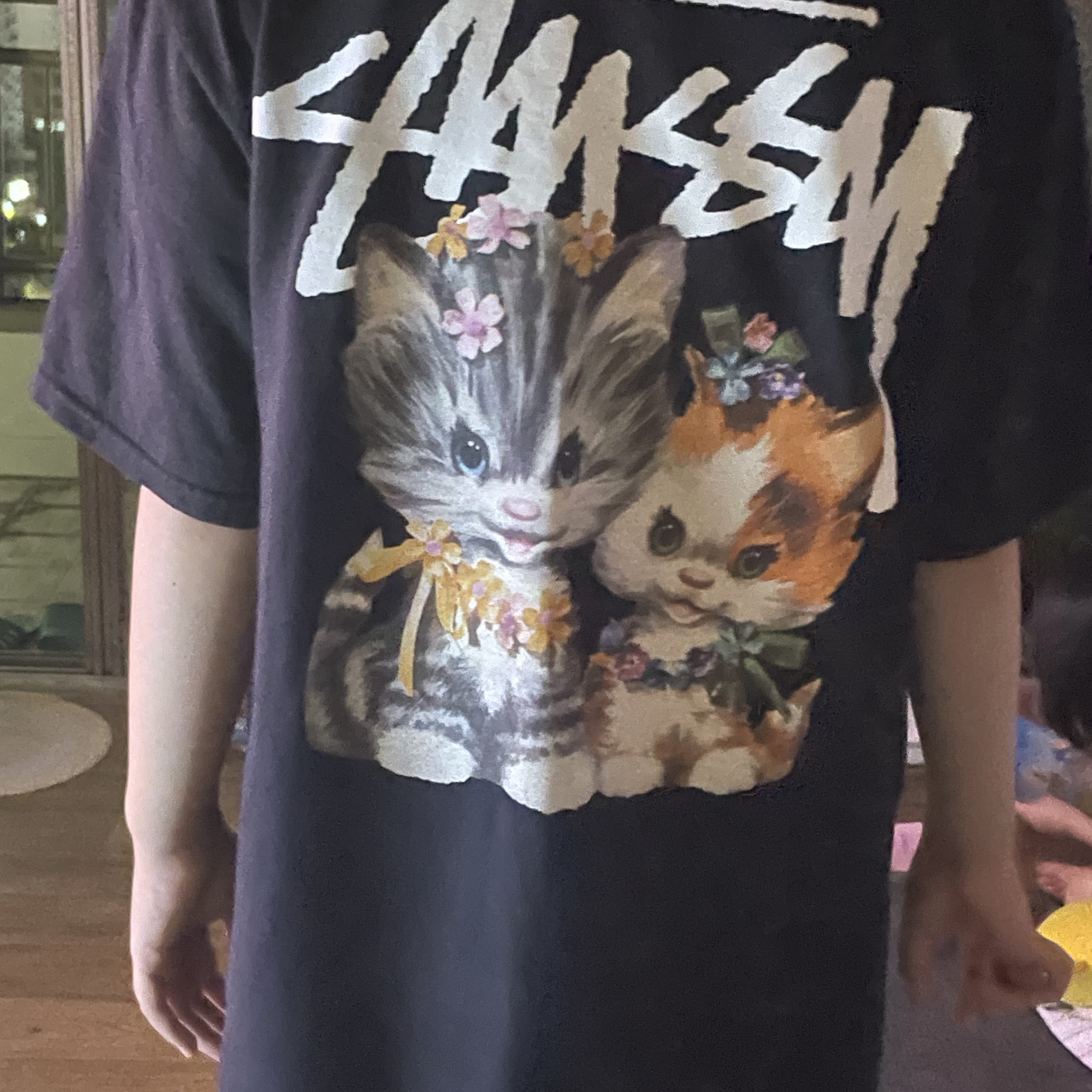 Stussy Kittens T-Shirt Black 착용 스타일