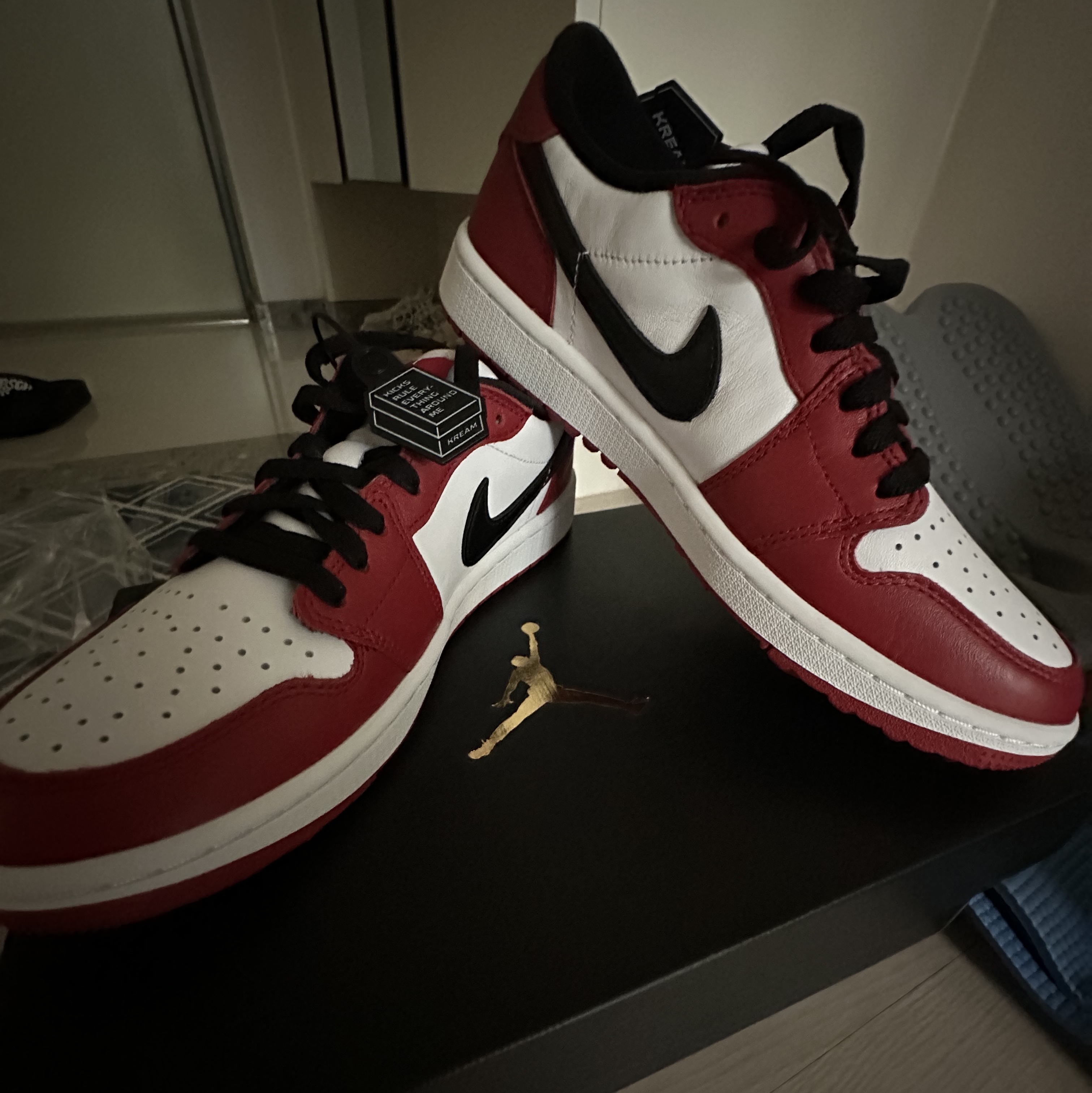 Jordan 1 Low Golf Chicago 착용 스타일 - 2