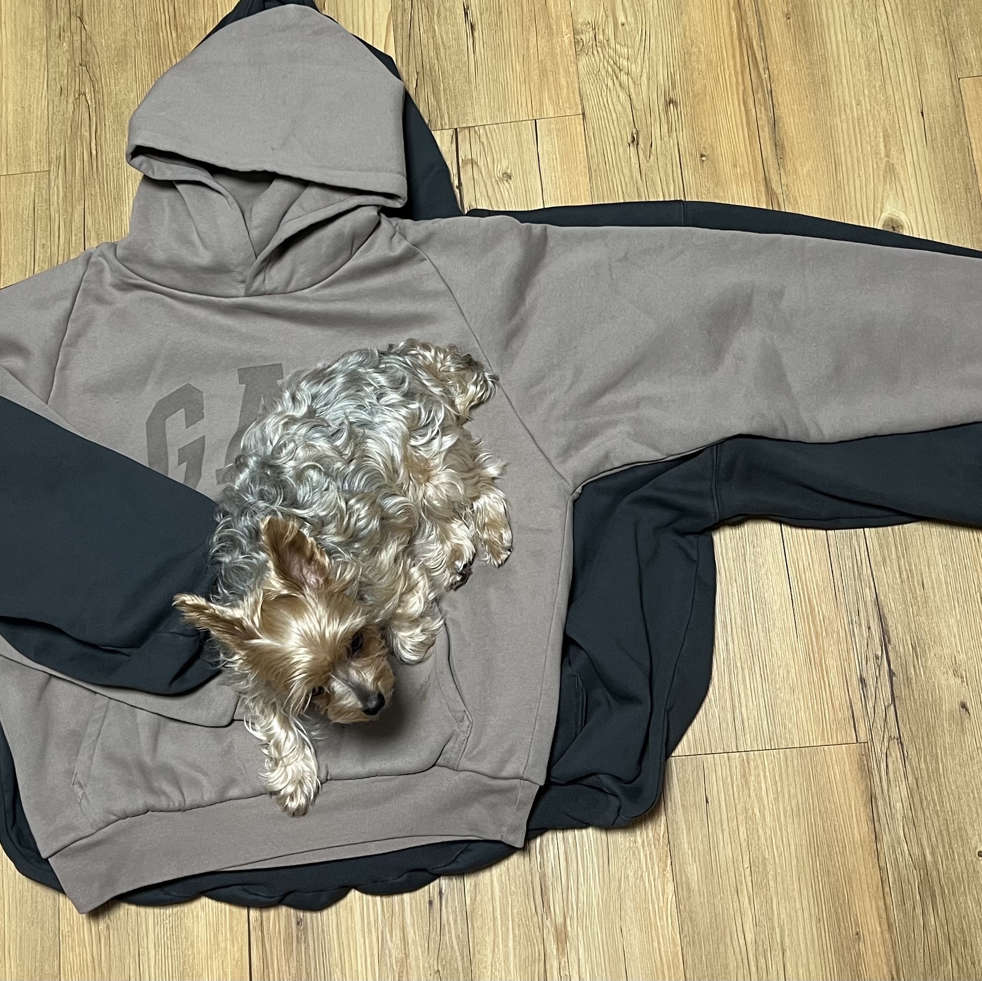 Yeezy Gap Engineered By Balenciaga Dove Hoodie Black, Yeezy Gap Engineered By Balenciaga Dove Shrunken Hoodie Beige 착용 스타일