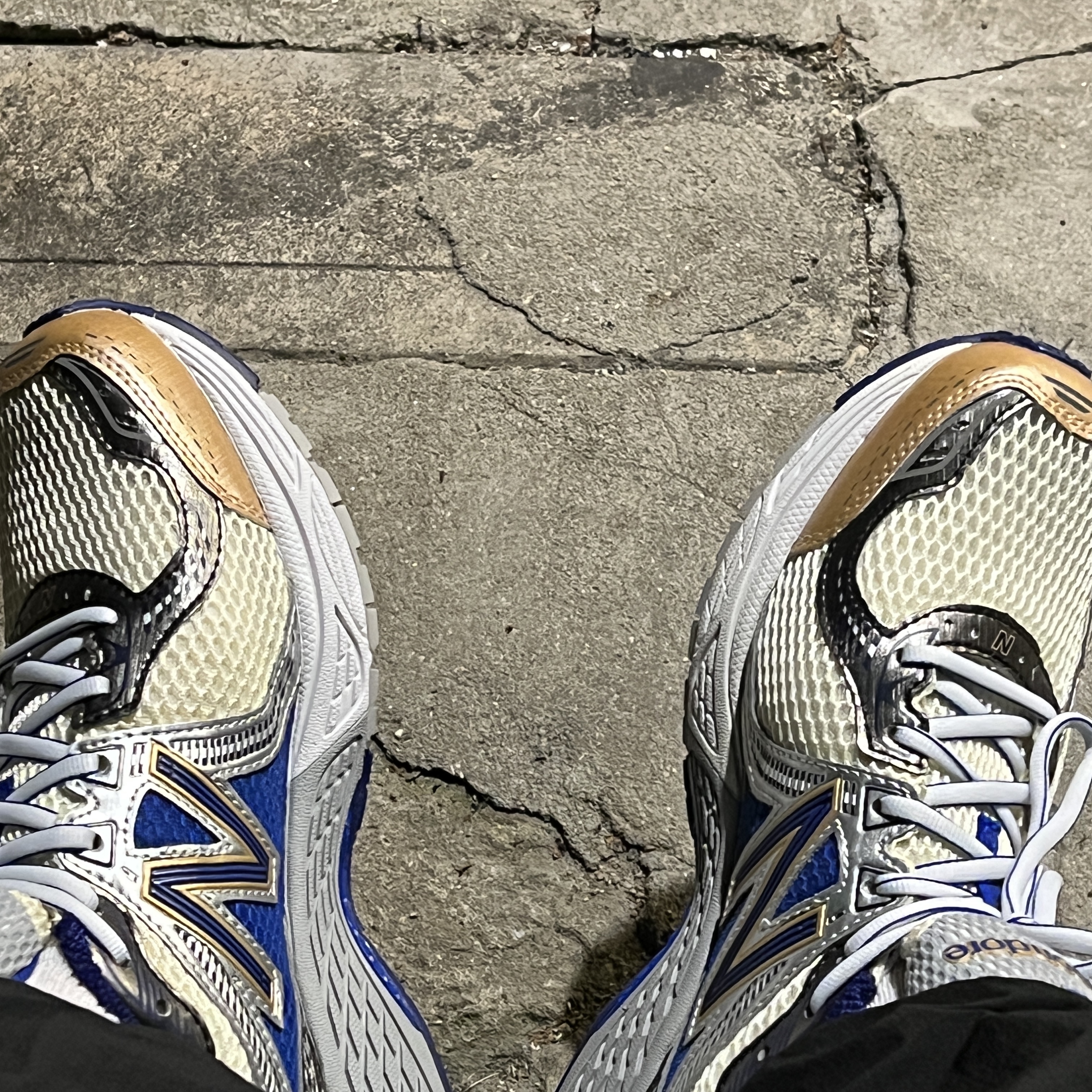 New Balance x Aime Leon Dore 860v2 Blue 착용 스타일 - 2