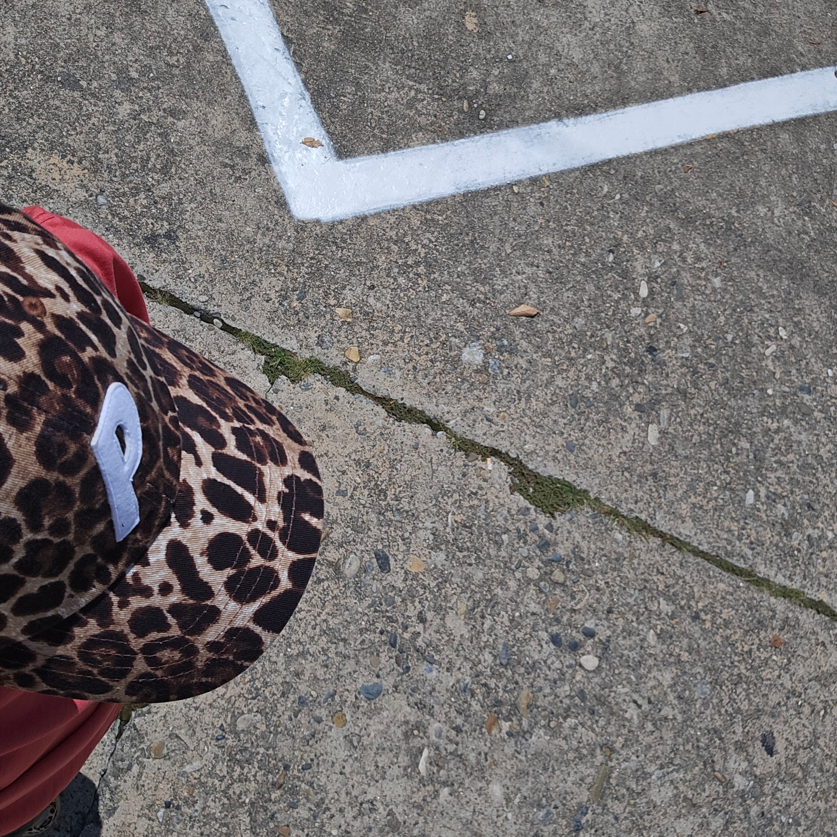 Palace P 6-Panel Leopard - 23FW 착용 스타일