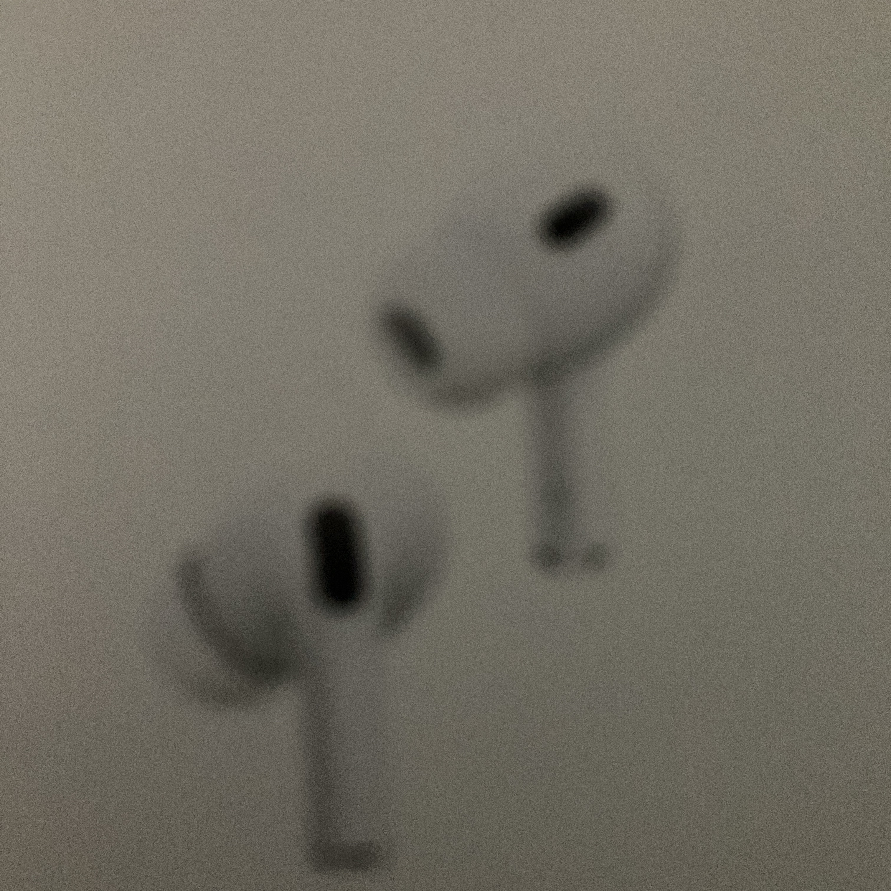 Apple AirPods Pro 2nd Gen (Korean Ver.) 착용 스타일