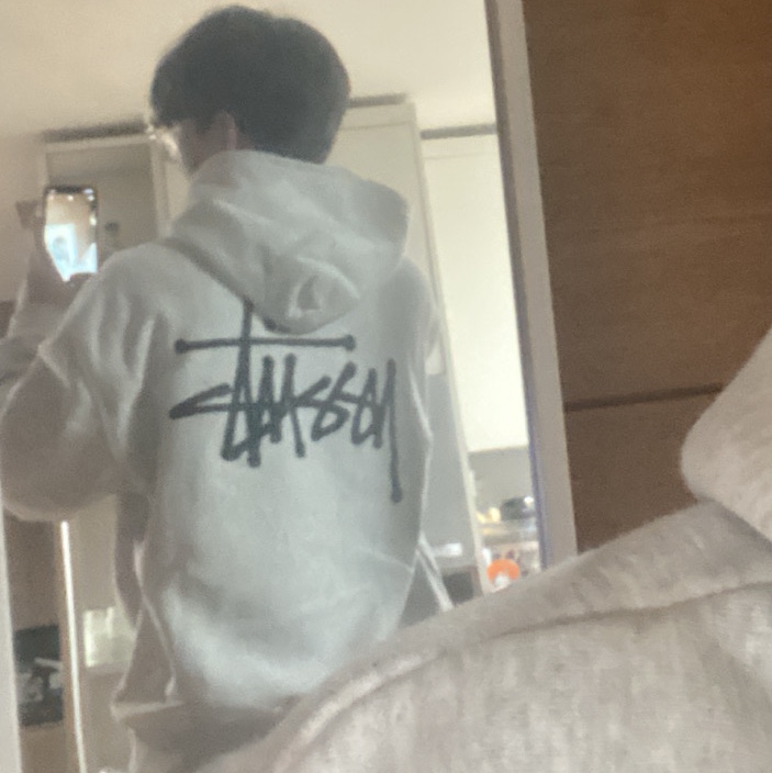 Stussy Basic Stussy Hoodie Ash Heather 2023 착용 스타일 - 1