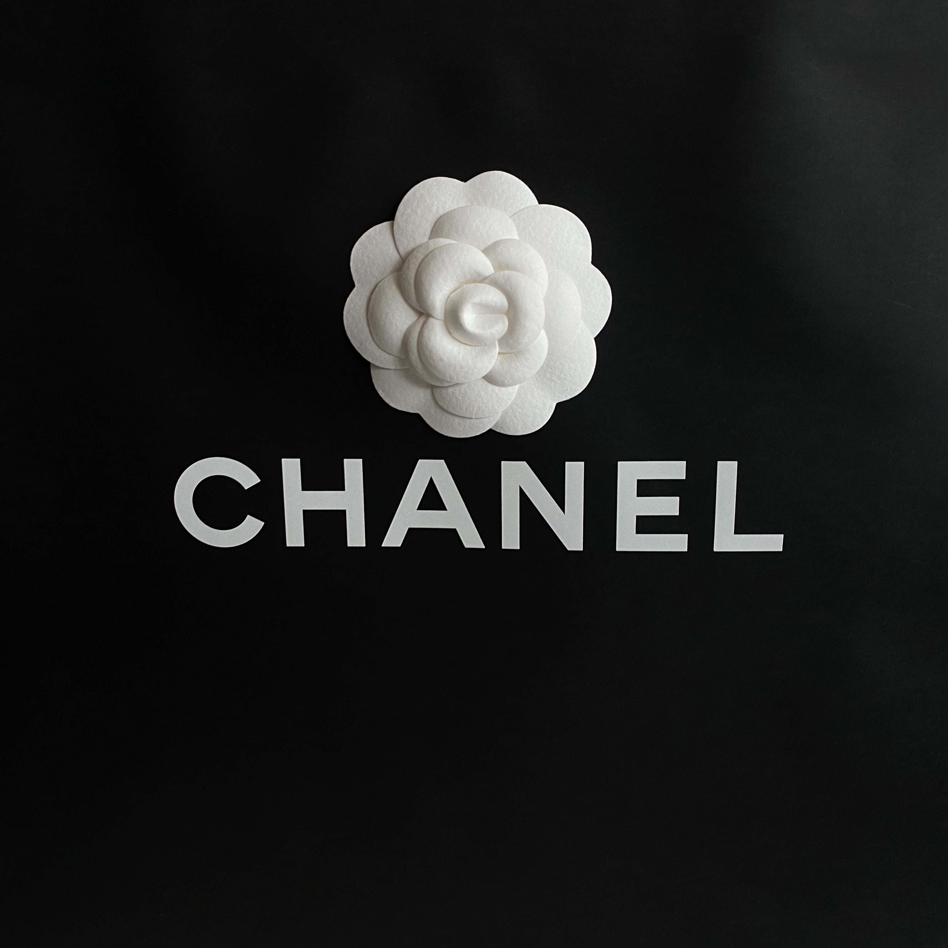 Chanel Mini Flap Bag with Top Handle Lambskin & Gold Black 착용 스타일