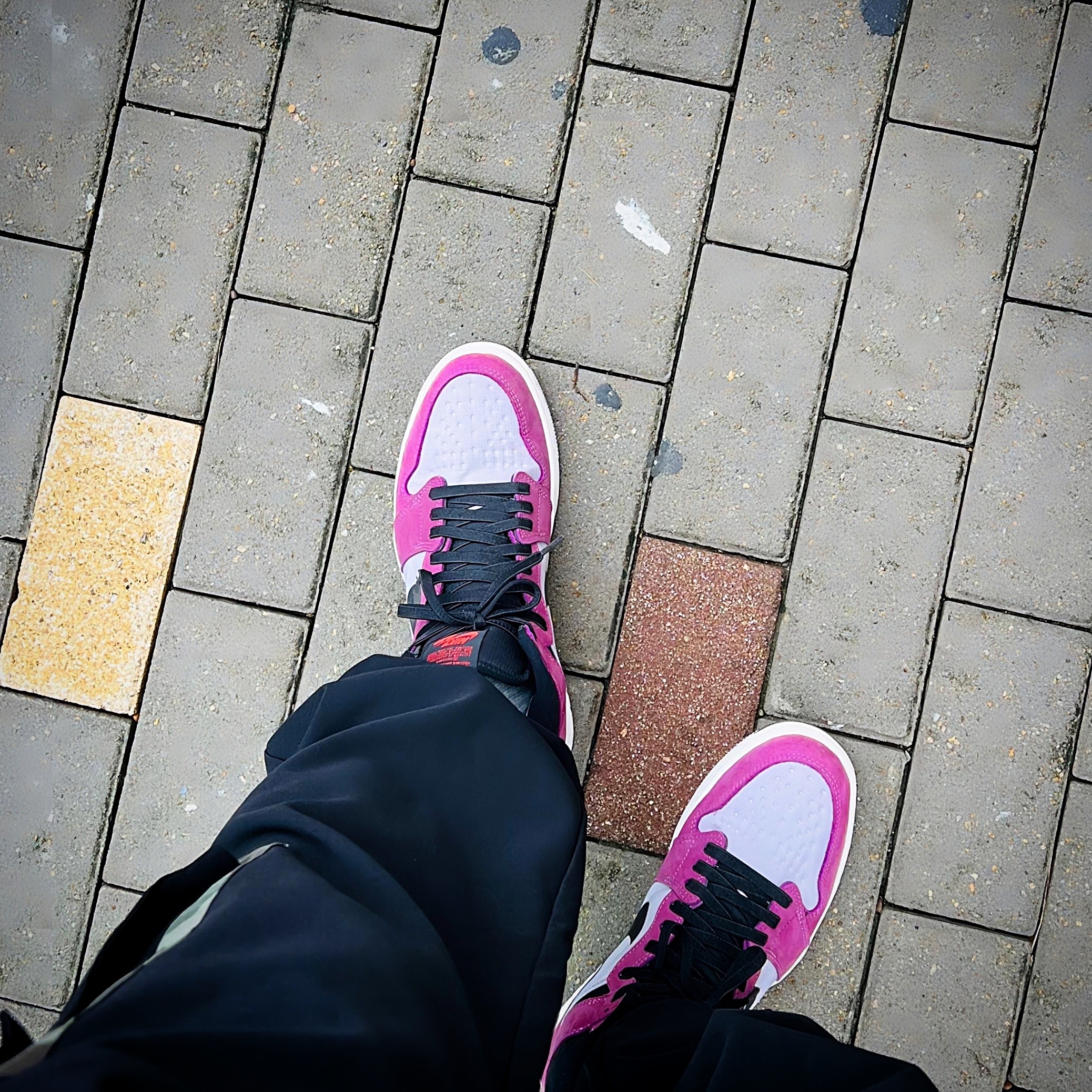 Jordan 1 Element Gore-Tex Berry 착용 스타일 - 2