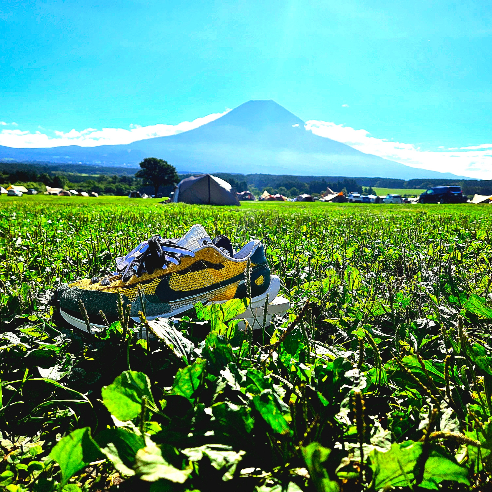 Nike x Sacai VaporWaffle Tour Yellow & Gorge Green Sail 착용 스타일