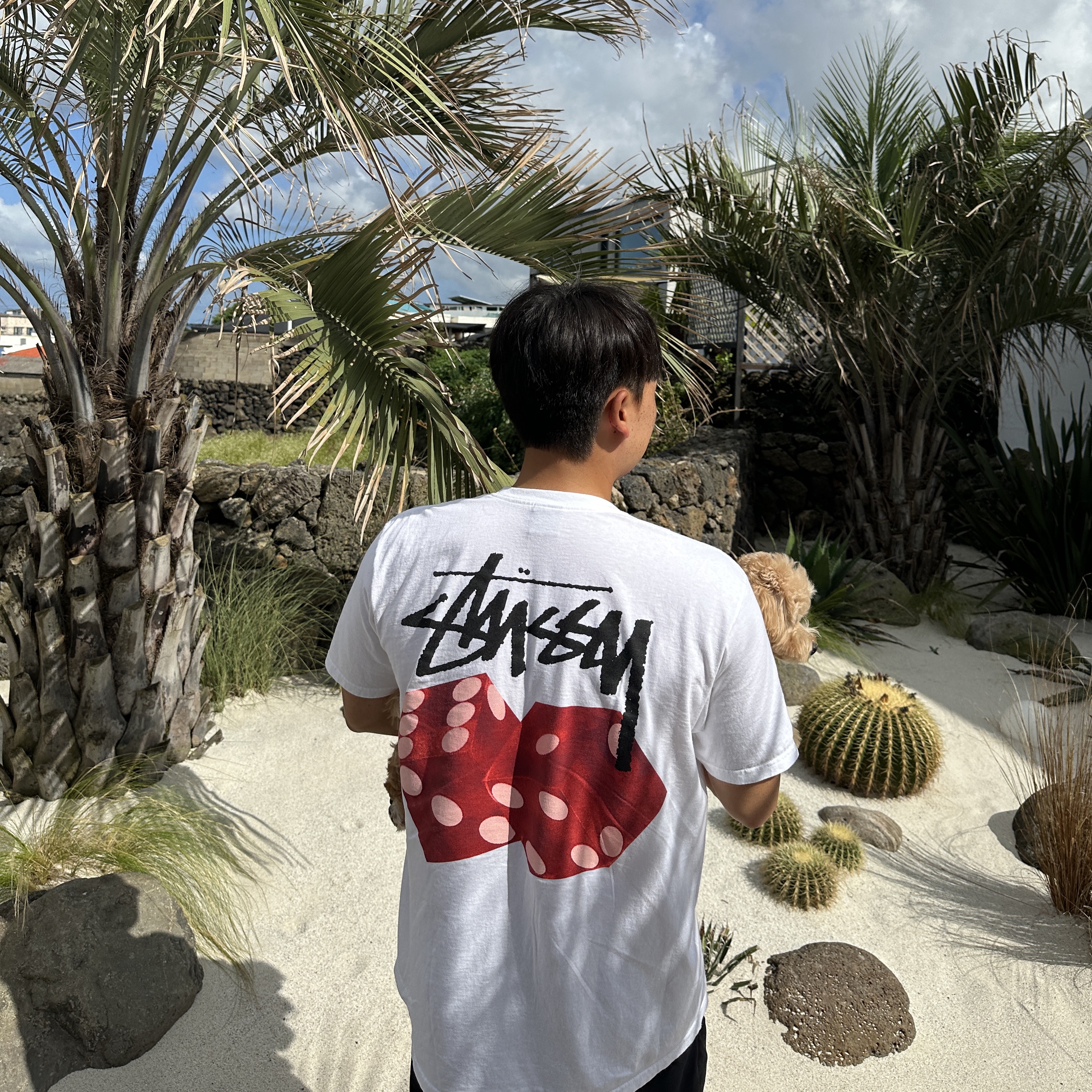 Stussy Diced Out T-Shirt White 착용 스타일