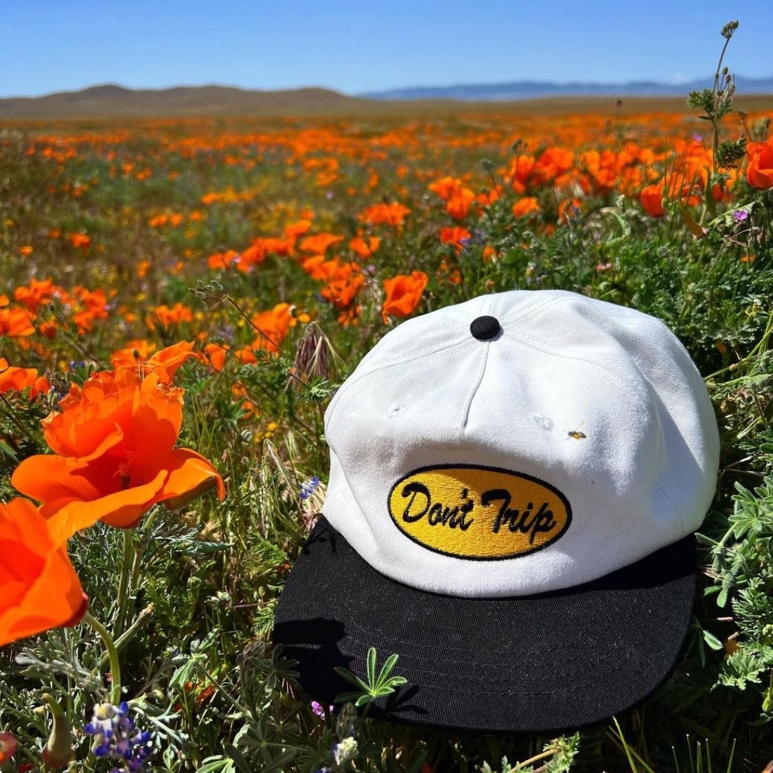 Free & Easy Oval Two Tone Short Brim Snapback Hat Bone Black 착용 스타일