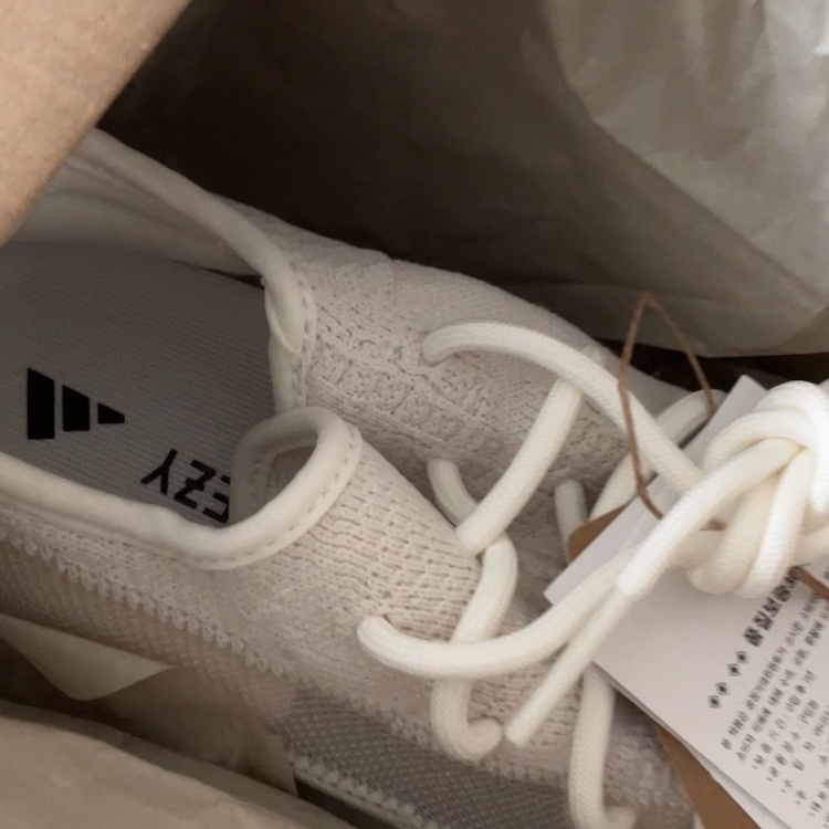 Adidas Yeezy Boost 350 V2 Bone 착용 스타일