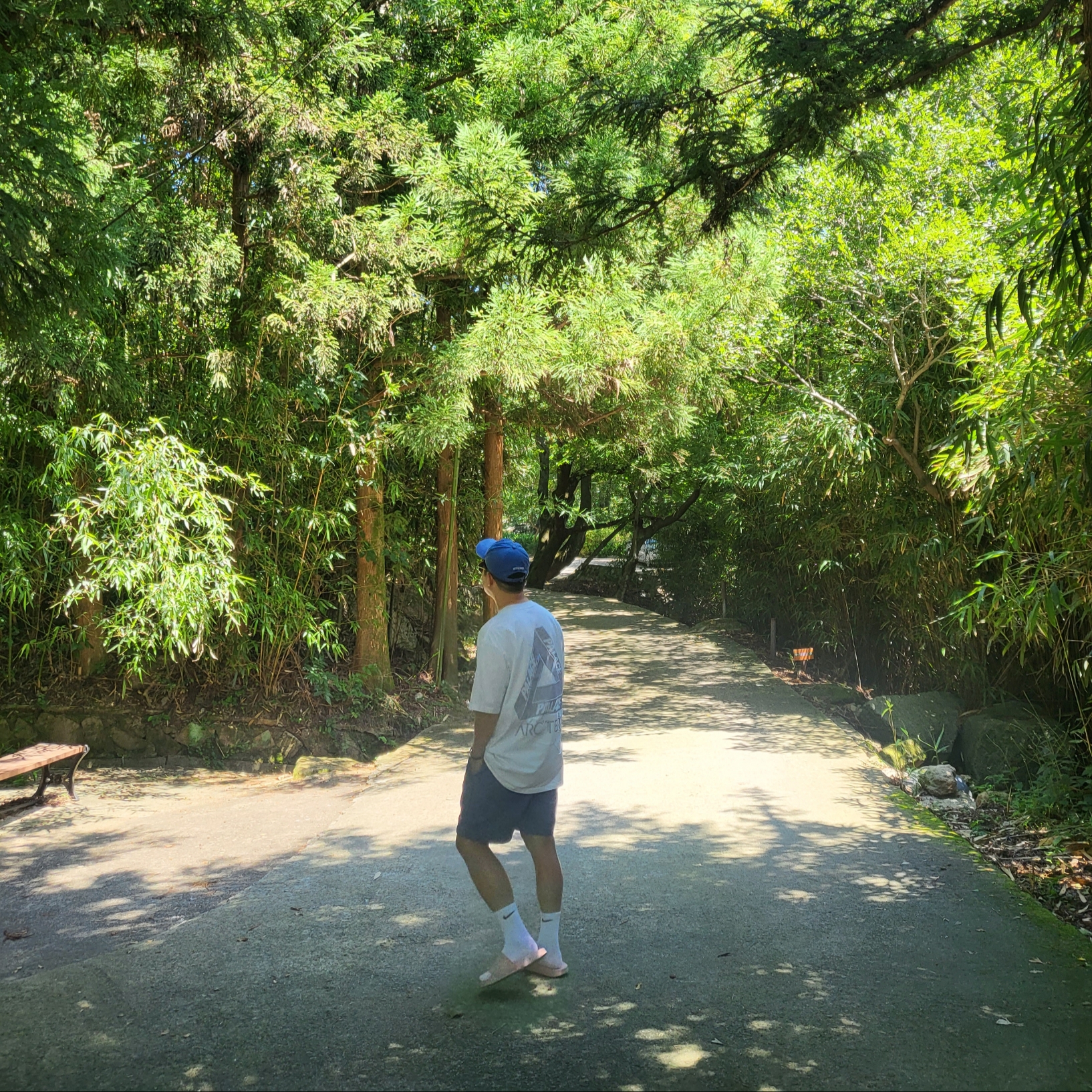 Supreme Pigment Print S Logo 6-Panel Royal - 20SS, Palace x Arc'teryx T-Shirt White - 20FW 착용 스타일