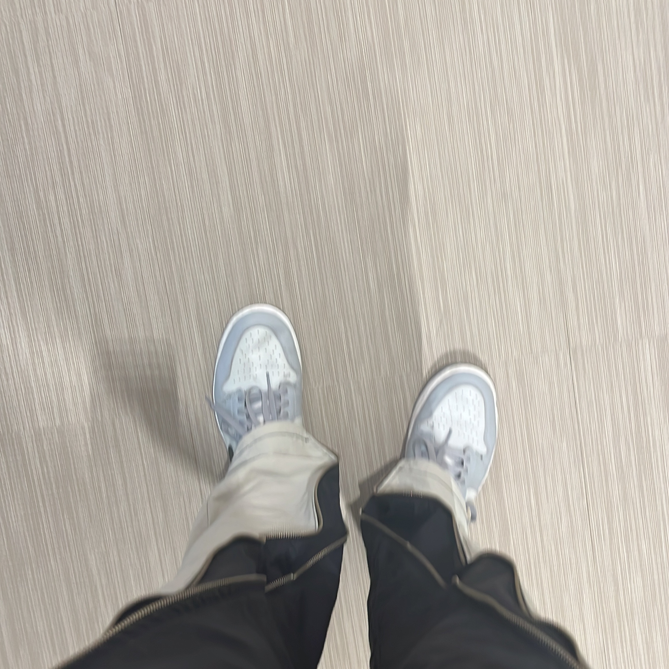 Jordan 1 Low Golf Wolf Grey 착용 스타일
