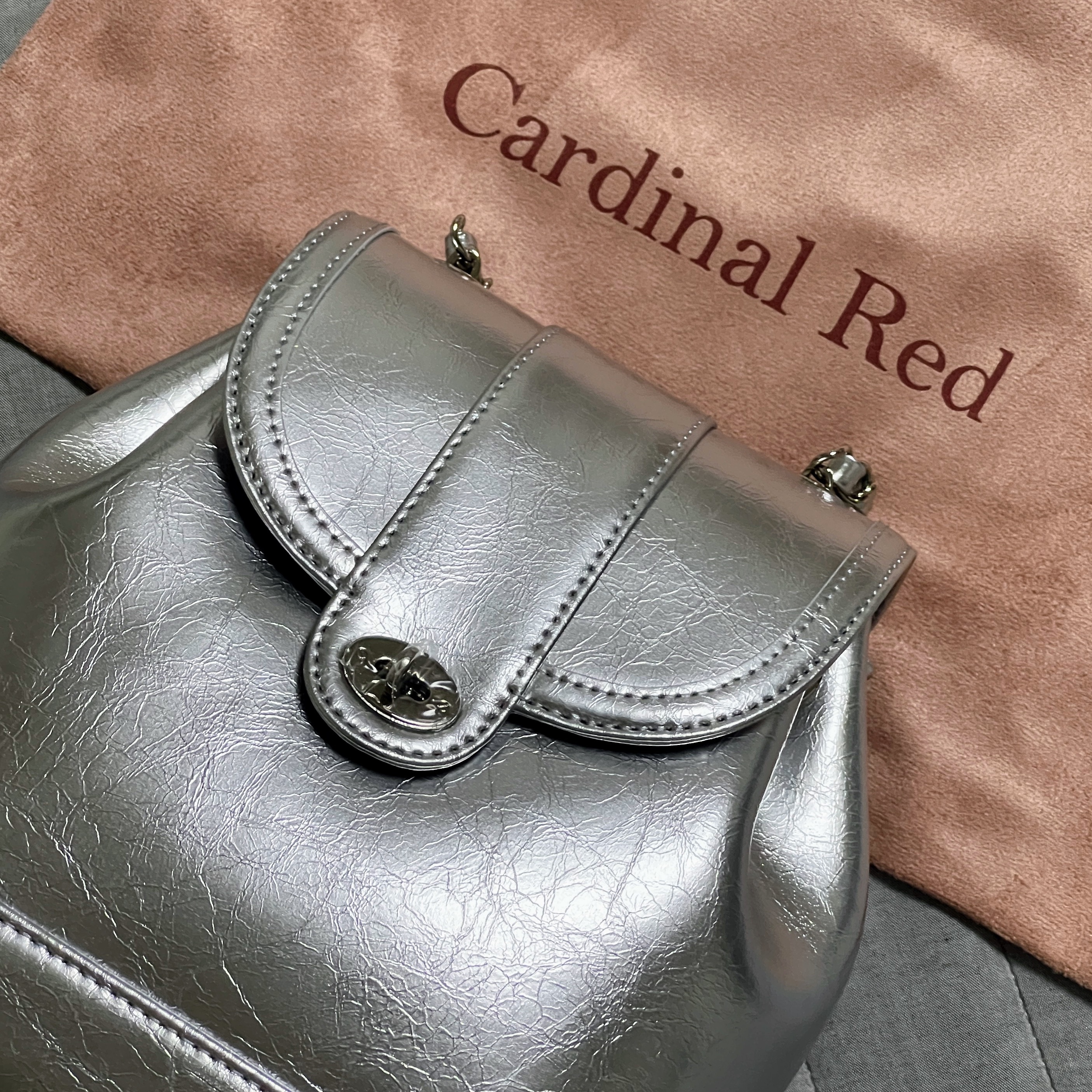 Cardinal Red Hawoo-A Bag Silver 착용 스타일