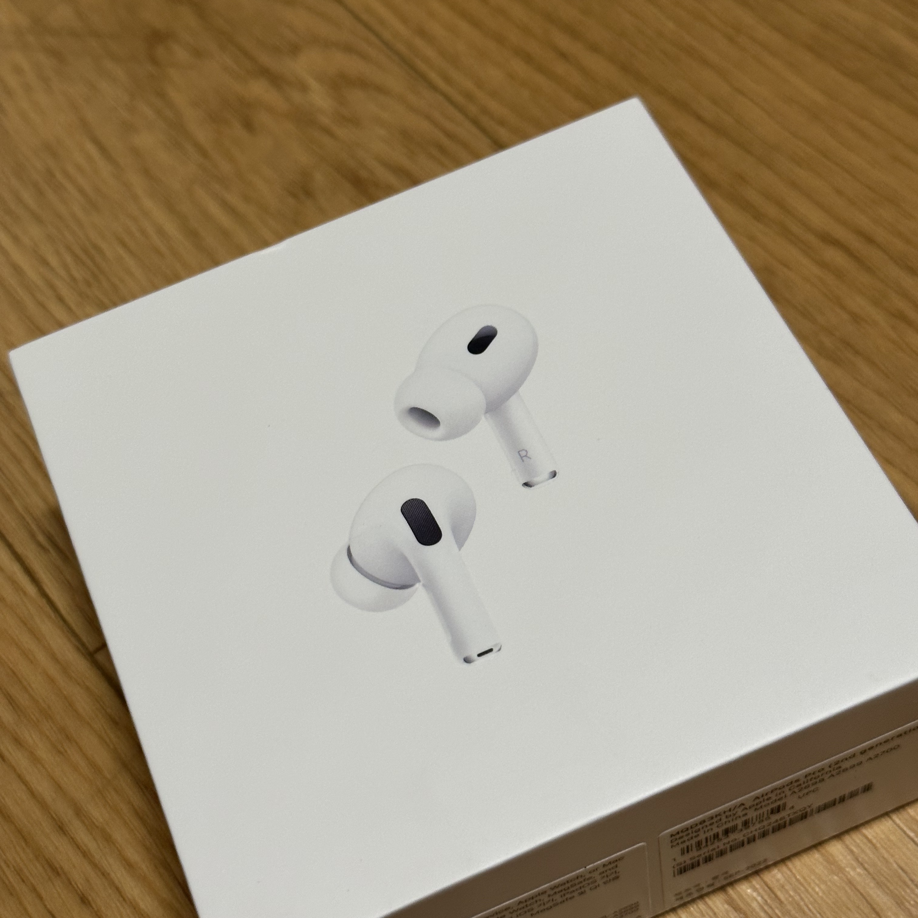 Apple AirPods Pro 2nd Gen (Korean Ver.) 착용 스타일