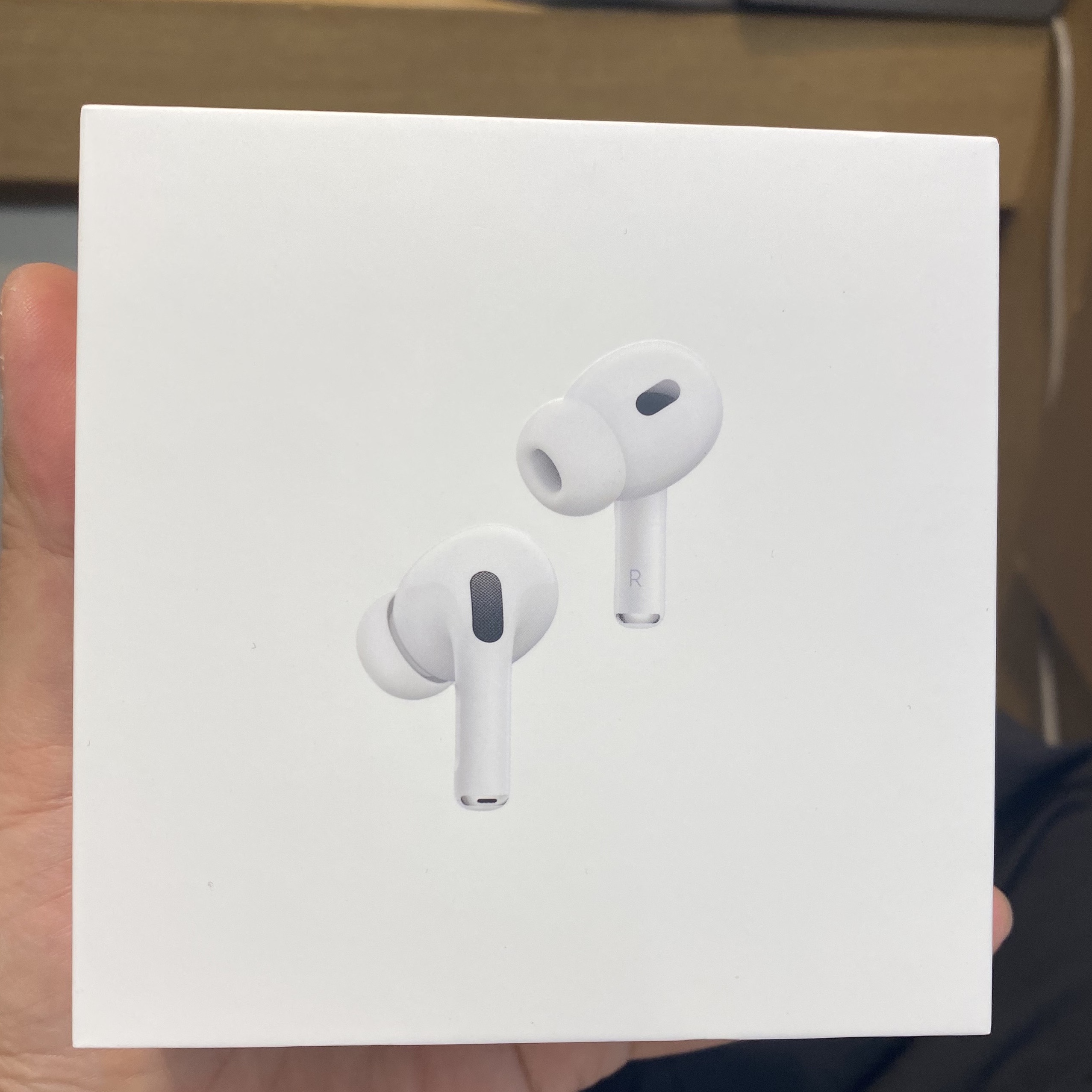 Apple AirPods Pro 2nd Gen (Korean Ver.) 착용 스타일