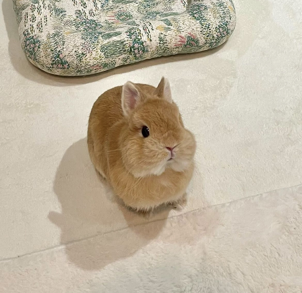 관심 유저 프로필 이미지