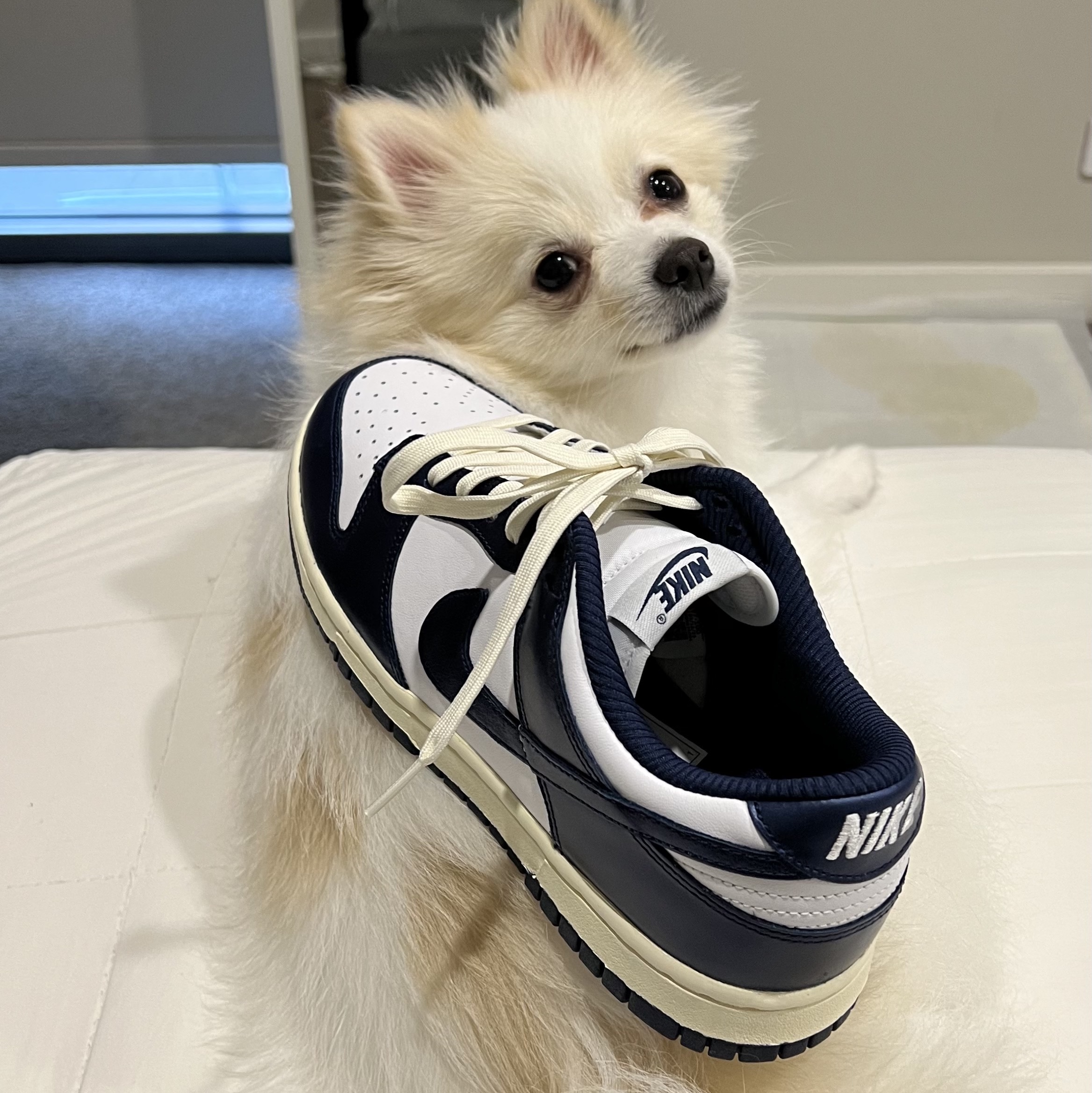 (W) Nike Dunk Low PRM Midnight Navy and White 착용 스타일