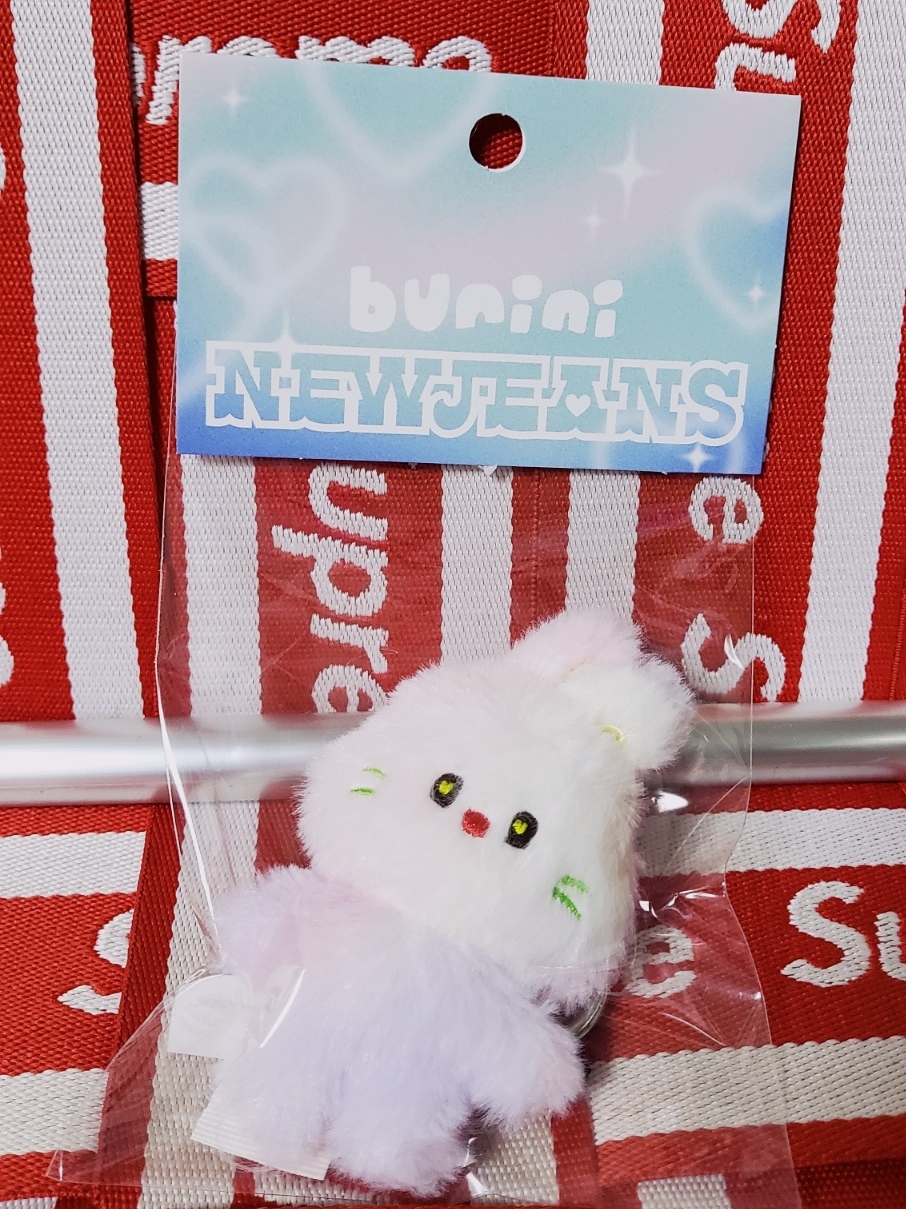 NewJeans Bunini Doll Keyring Pink Multi 착용 스타일