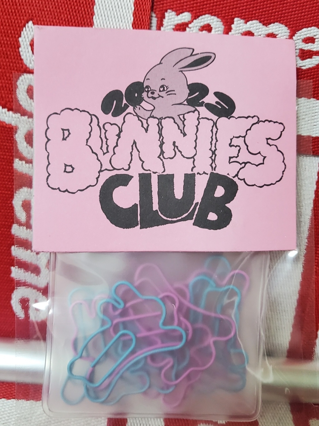 NewJeans Paper Clip Set (Set of 10) 착용 스타일