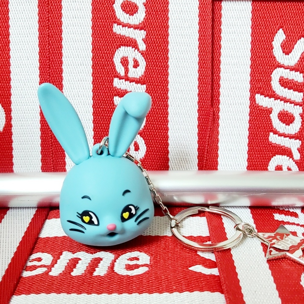 NewJeans Tokki Keyring Blue 착용 스타일