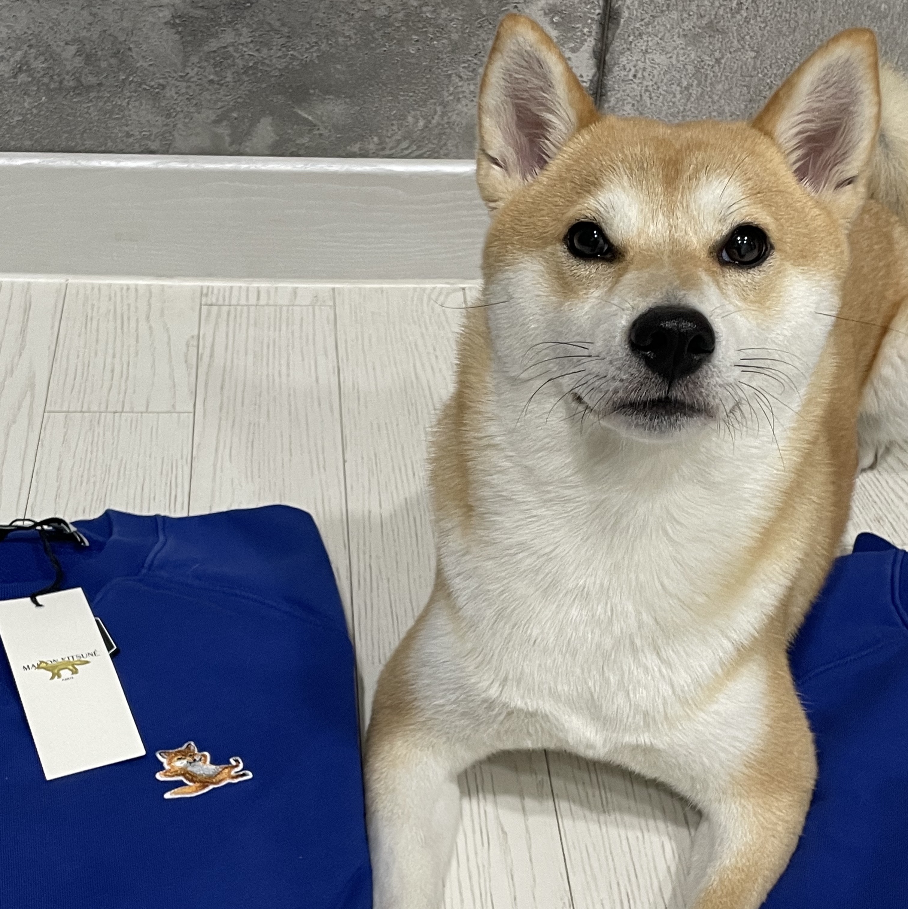 Maison Kitsune Chillax Fox Patch Classic Sweatshirt Deep Blue 착용 스타일 - 2
