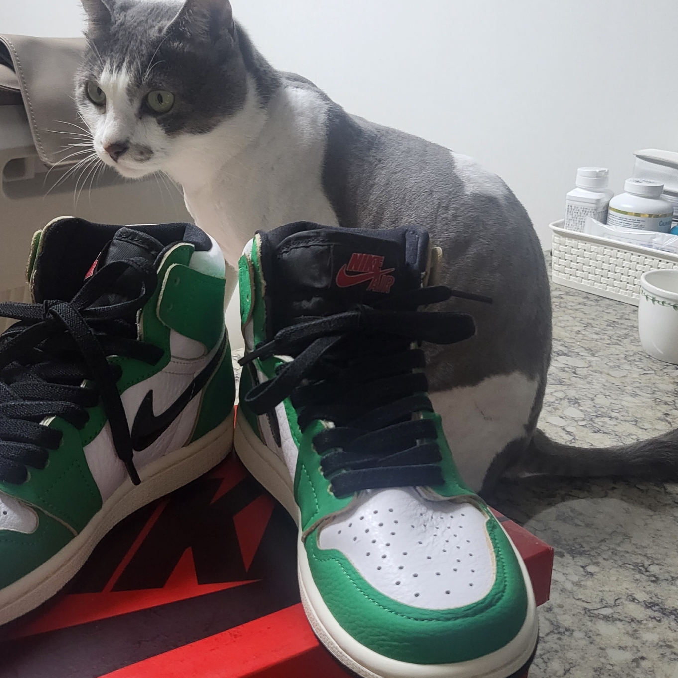 (W) Jordan 1 Retro High OG Lucky Green 착용 스타일