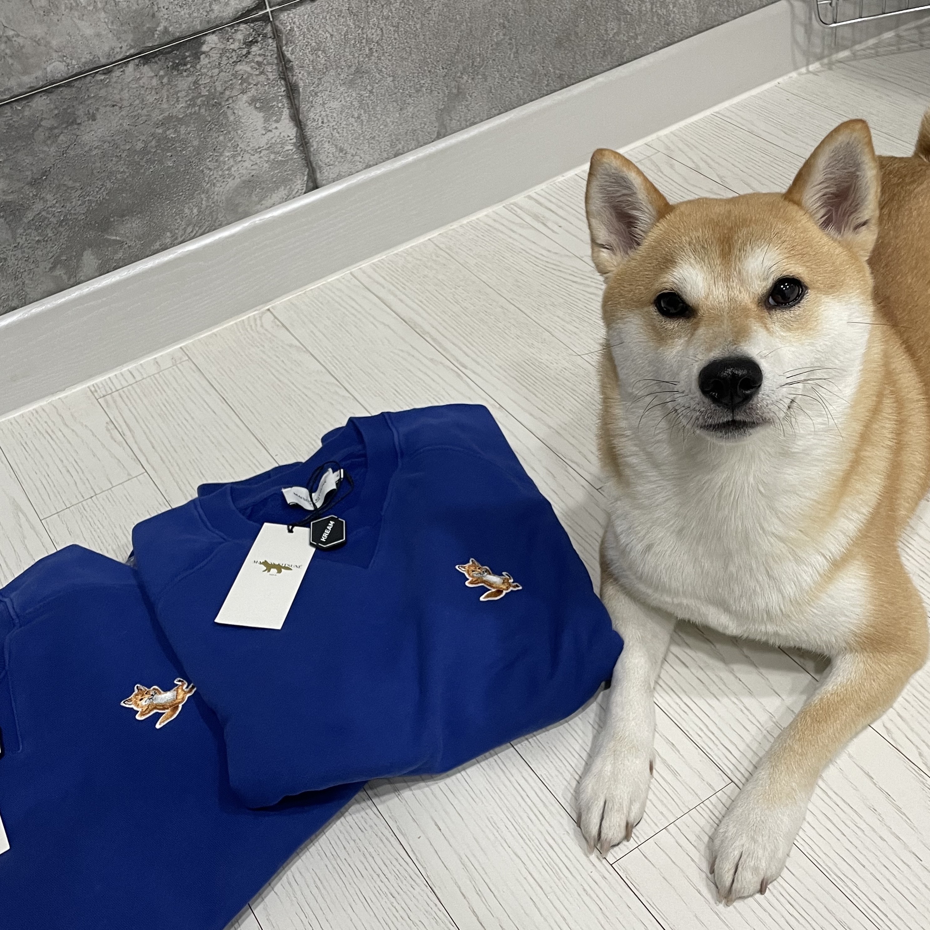 Maison Kitsune Chillax Fox Patch Classic Sweatshirt Deep Blue 착용 스타일 - 3