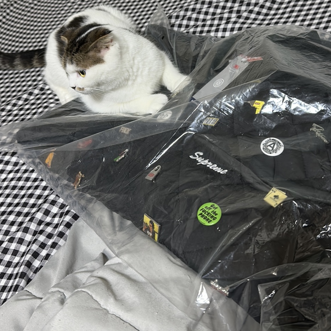 Supreme Pins Quilted Work Vest Black - 23FW 착용 스타일