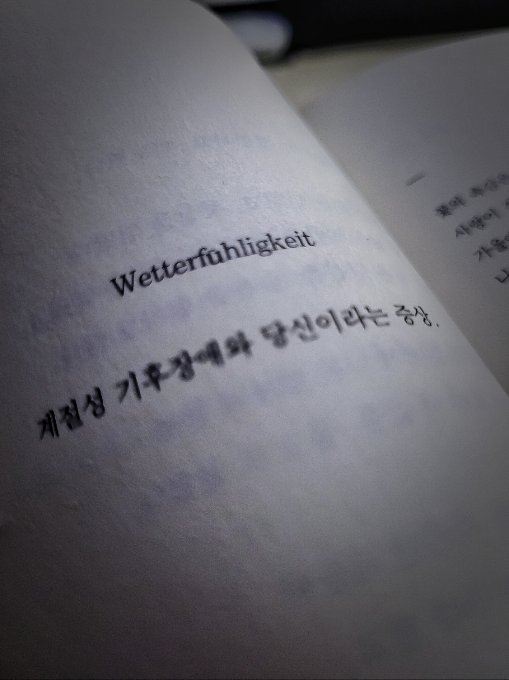 보통의 별일 없는,    지루한 행복.님의 스타일