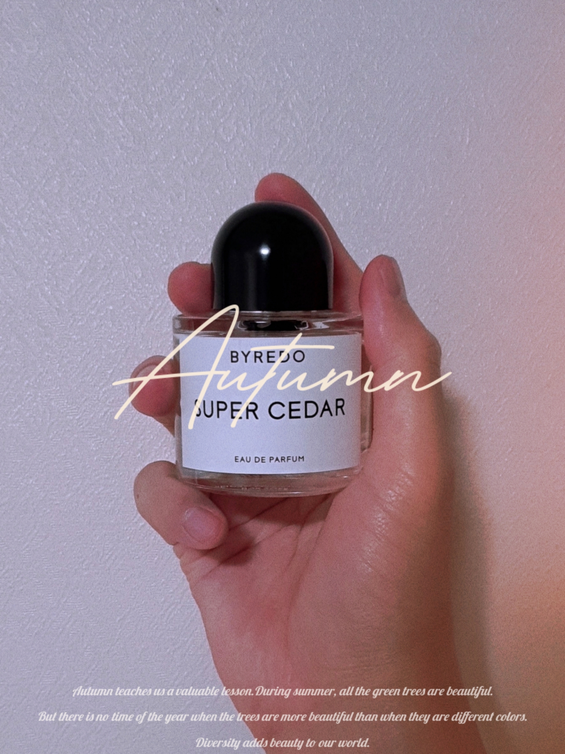 Byredo Super Cedar Eau De Parfum 50ml 착용 스타일