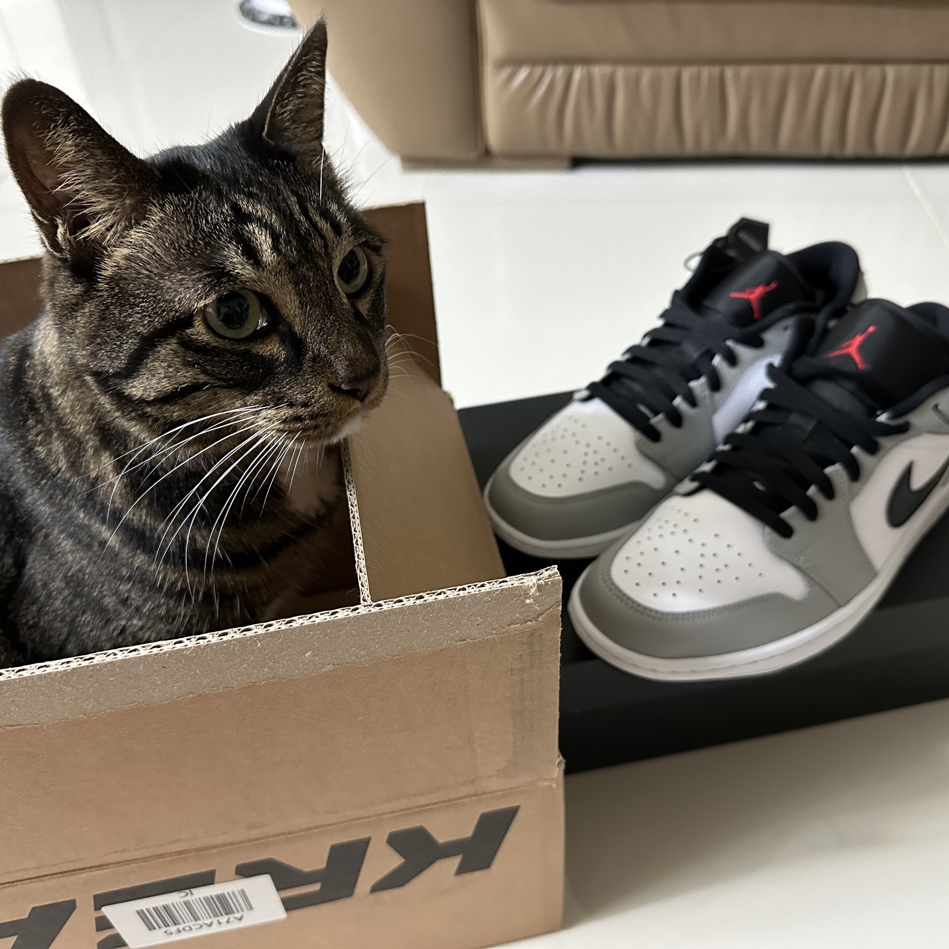 Jordan 1 Low Light Smoke Grey 착용 스타일