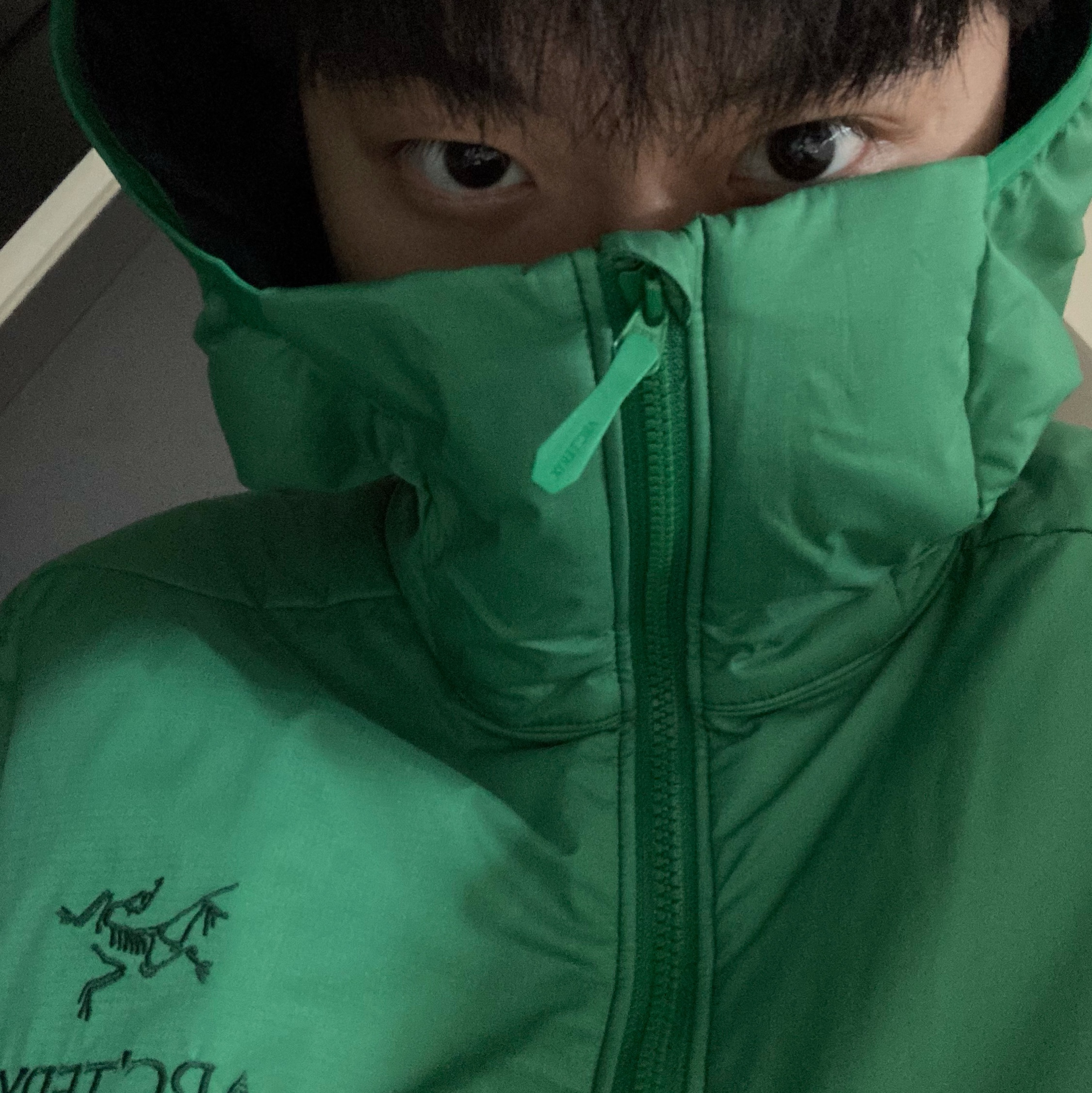 Arc'teryx Atom LT Hoody Jungle 착용 스타일