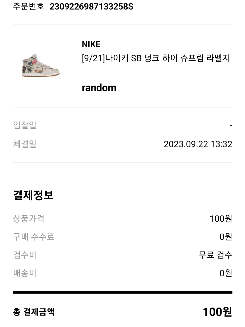 Nike x Supreme SB Dunk High QS Rammellzee White 착용 스타일