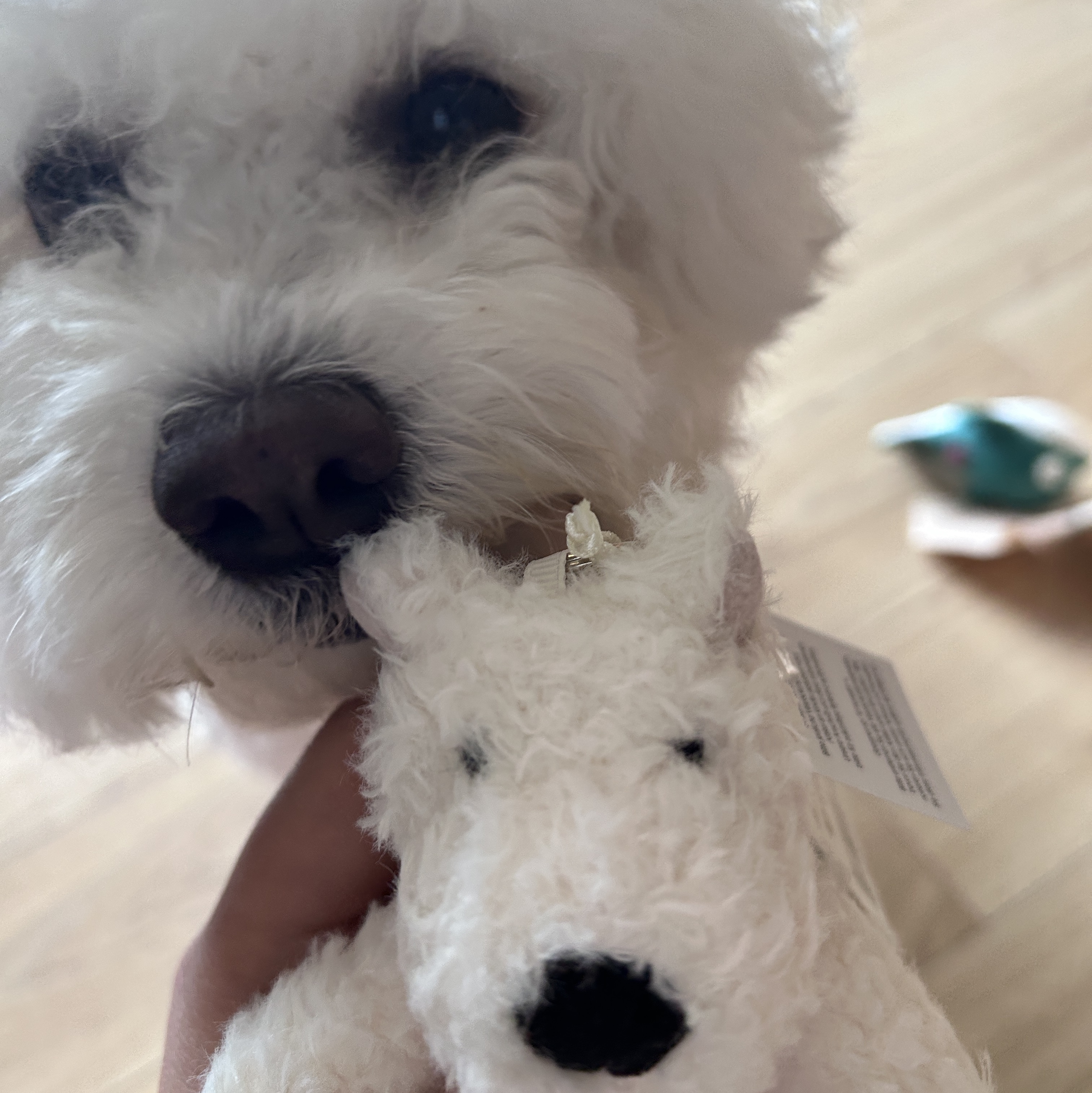 Jellycat Munro Scottie Dog Bag Charm Cream 착용 스타일 - 2