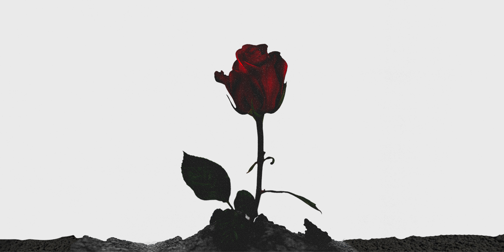 언더그라운드락스타(UGRS)