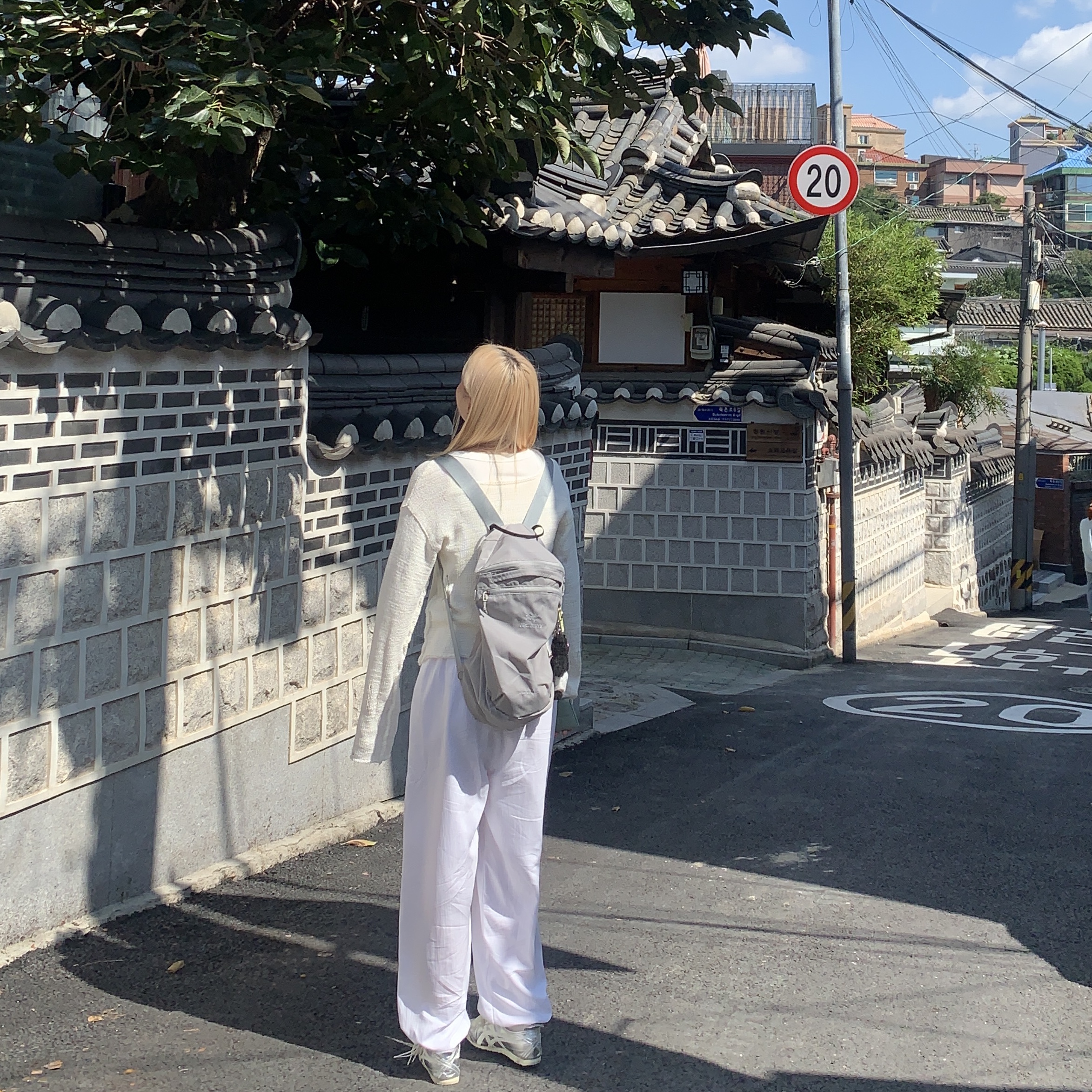 Arc'teryx Index 15 Backpack Binary, Monamhee Beulpingi Keyring with White Pants Black 착용 스타일