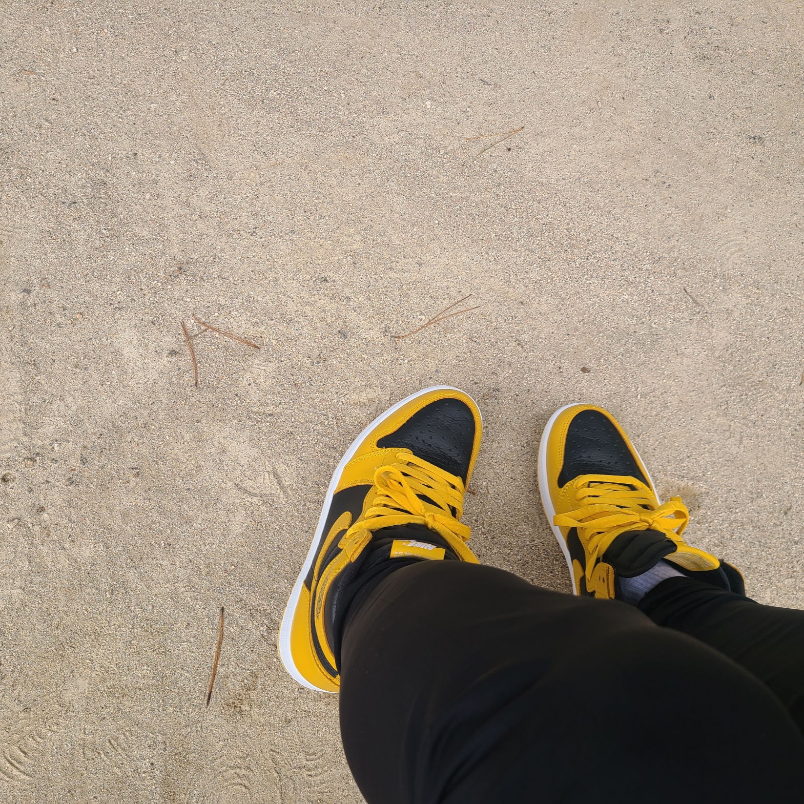 Jordan 1 Retro High OG Pollen 착용 스타일