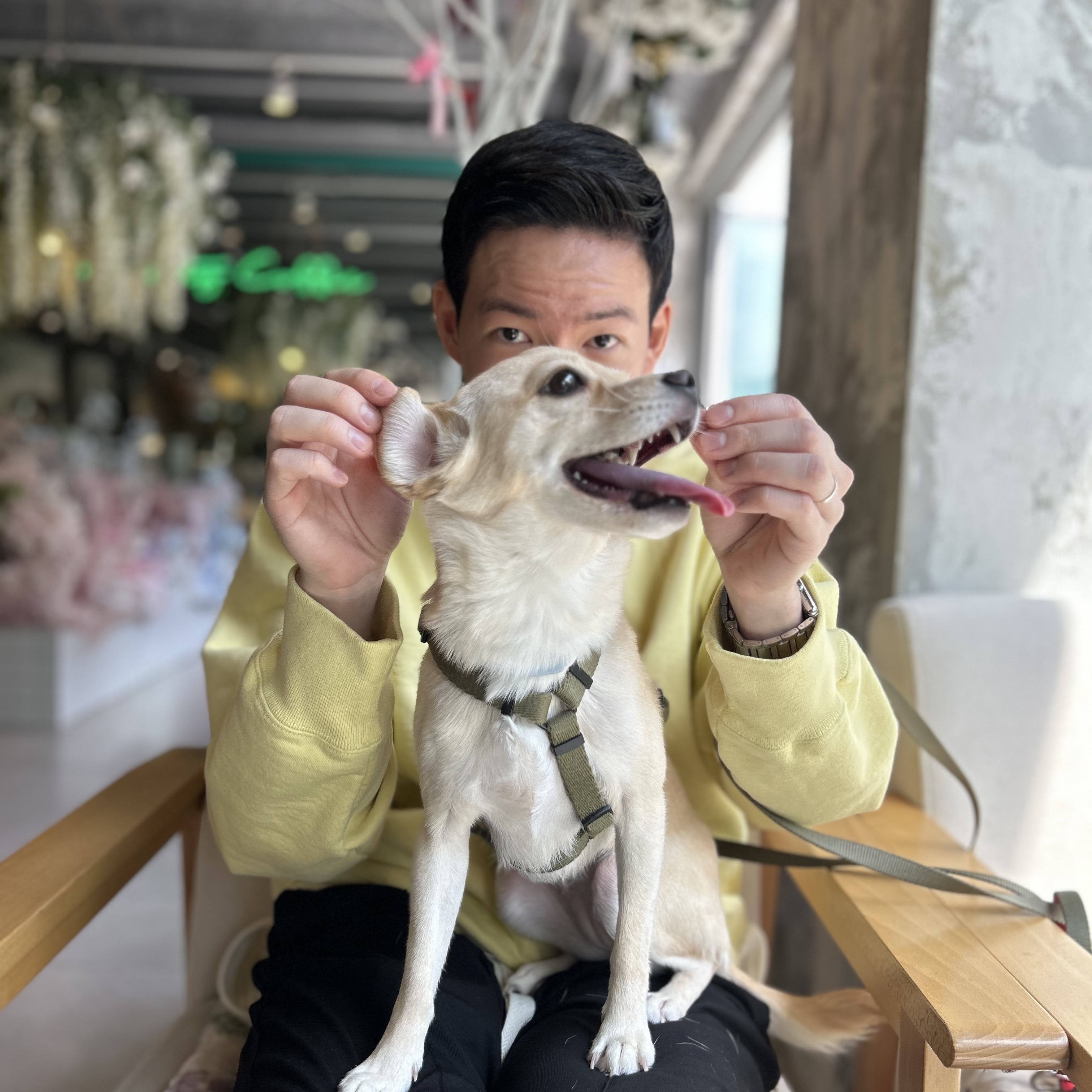 Supreme Box Logo Crewneck Pale Yellow - 22FW, Cartier Tank Must Watch Extra Large Automatic Steel Bracelet Steel 착용 스타일 - 2