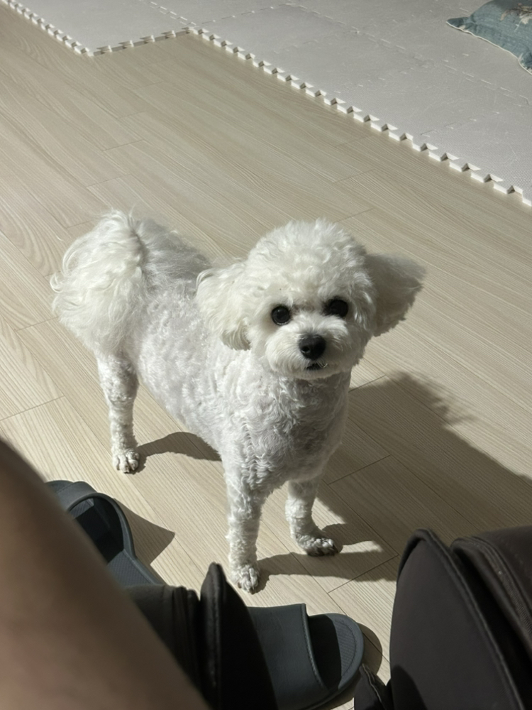 관심 유저 프로필 이미지