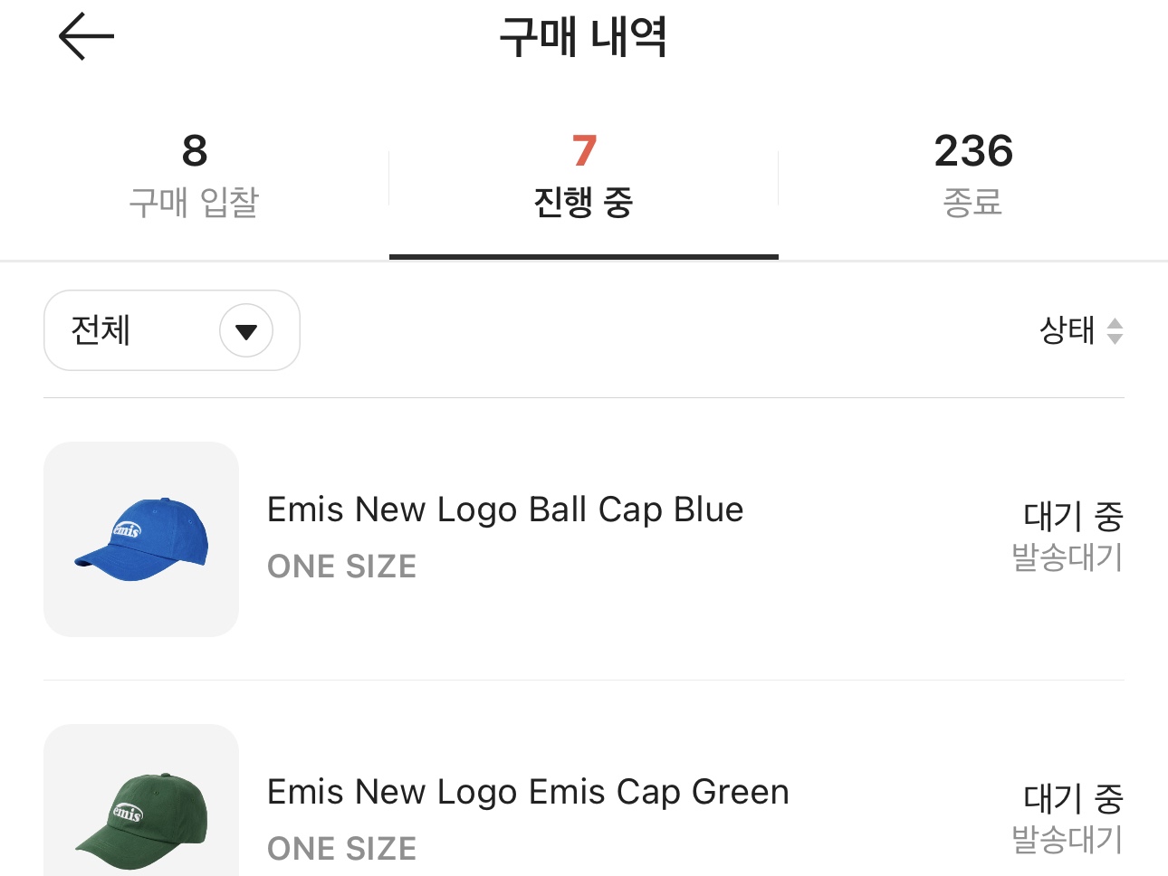 Emis New Logo Emis Cap Green, Emis New Logo Ball Cap Blue 착용 스타일