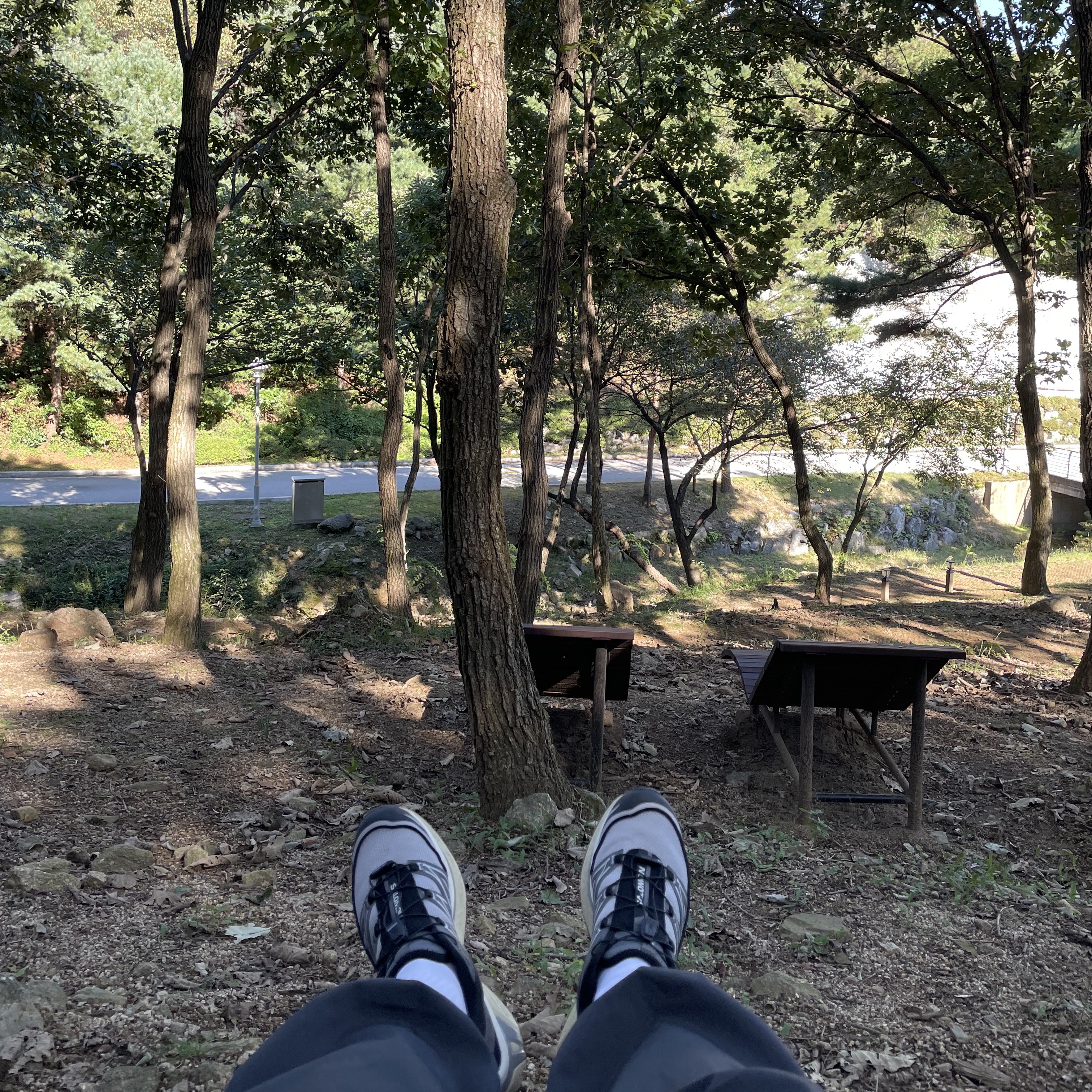 Salomon XT-6 Expanse Alloy Quiet Shade 착용 스타일