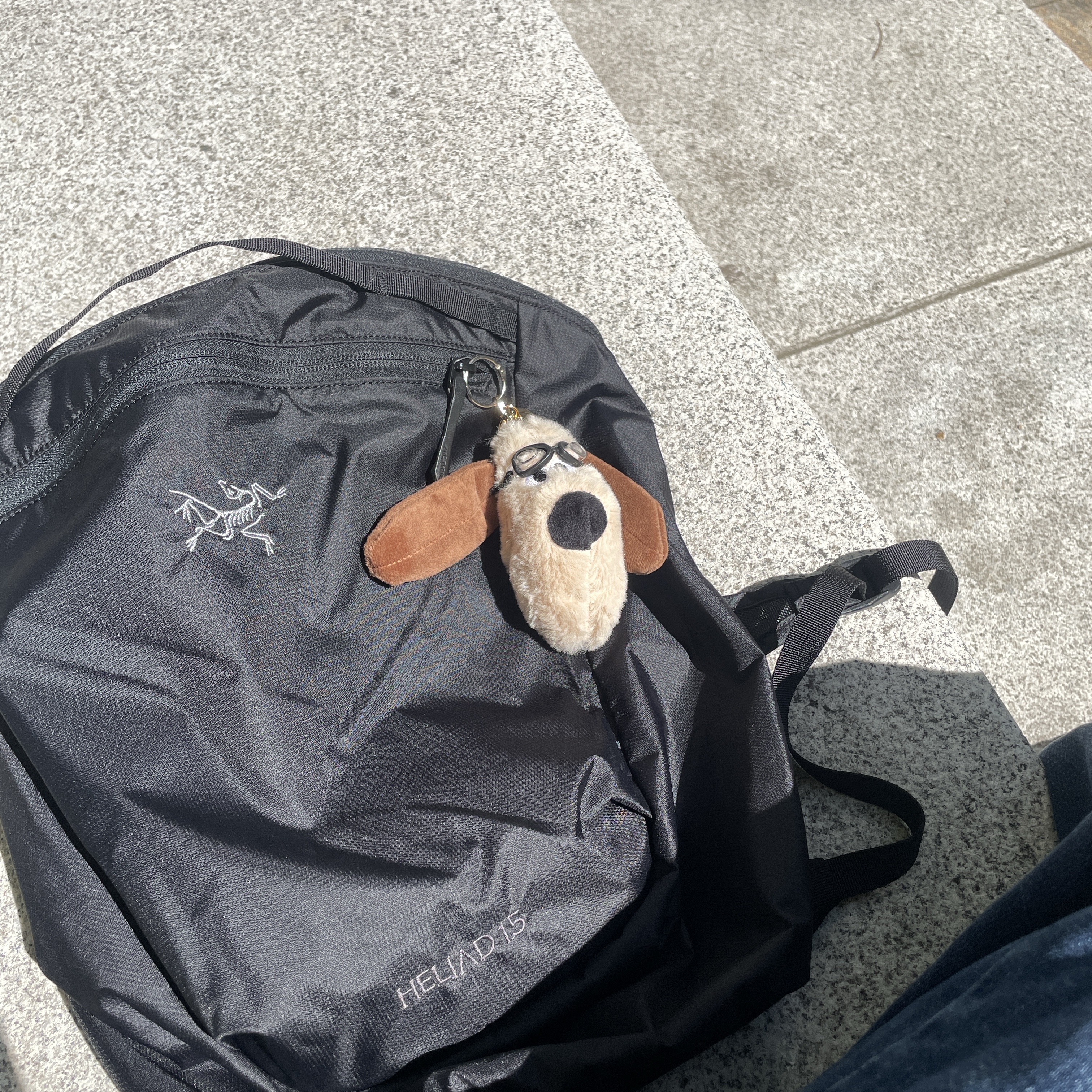 Arc'teryx Heliad 15 Backpack Black 착용 스타일
