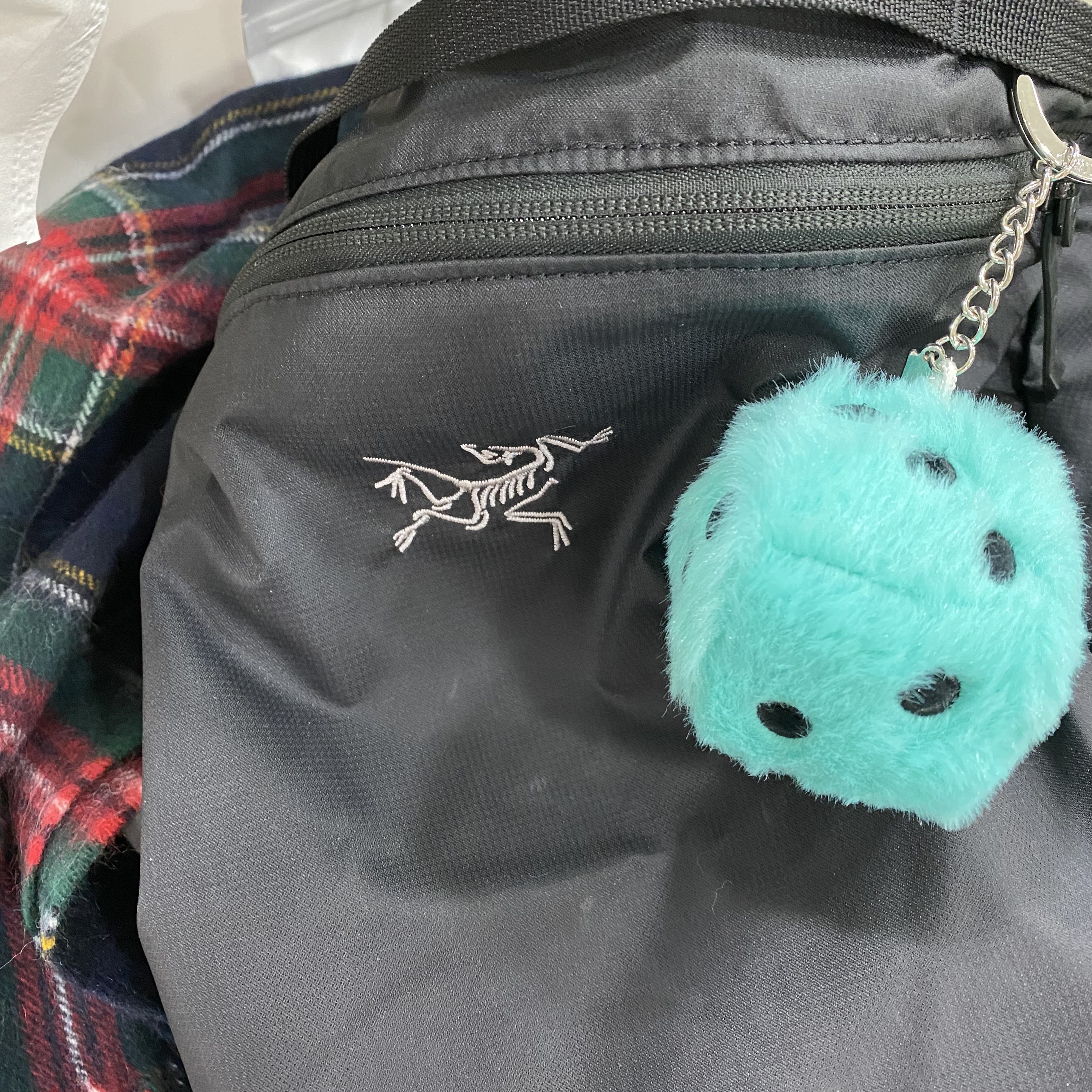 Stussy Fuzzy Dice Keychain Teal 착용 스타일