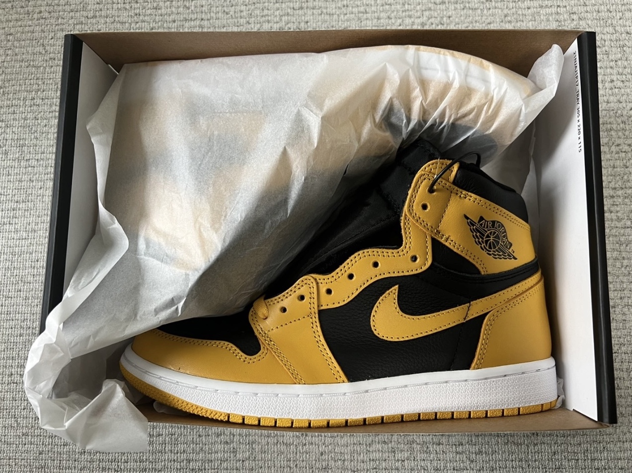 Jordan 1 Retro High OG Pollen 착용 스타일
