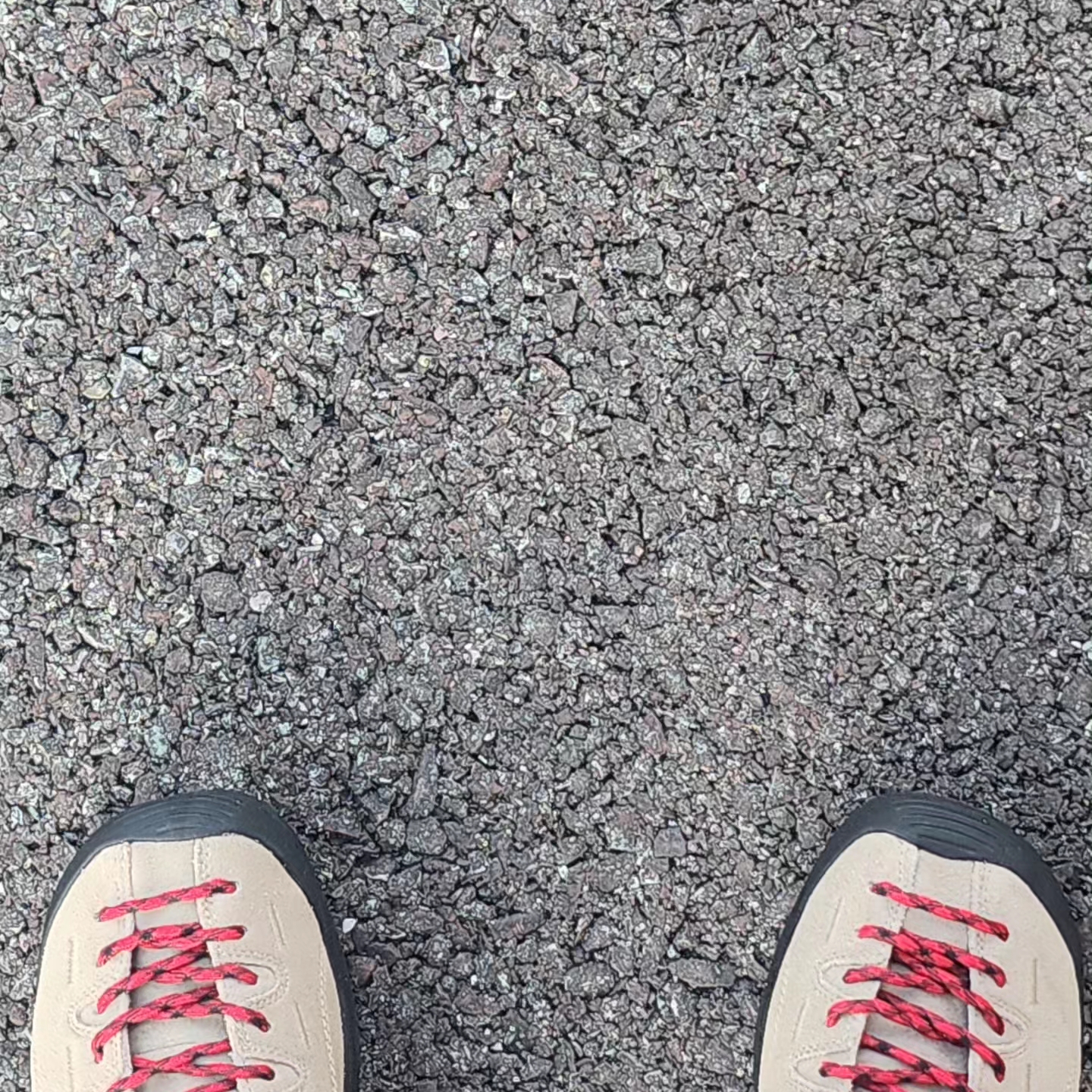 Keen Jasper Suede Sneakers Silver Mink 착용 스타일