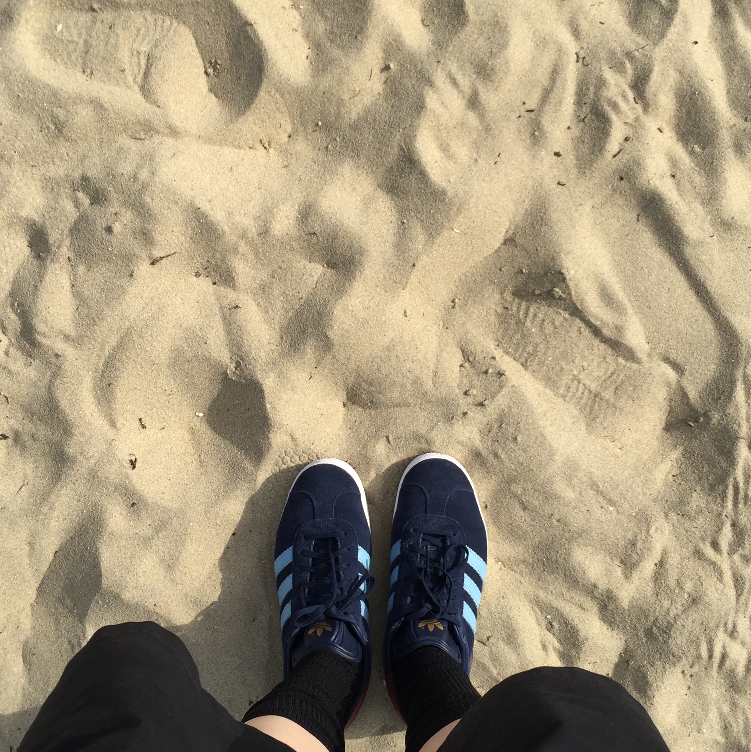 Adidas Gazelle Collegiate Navy 착용 스타일