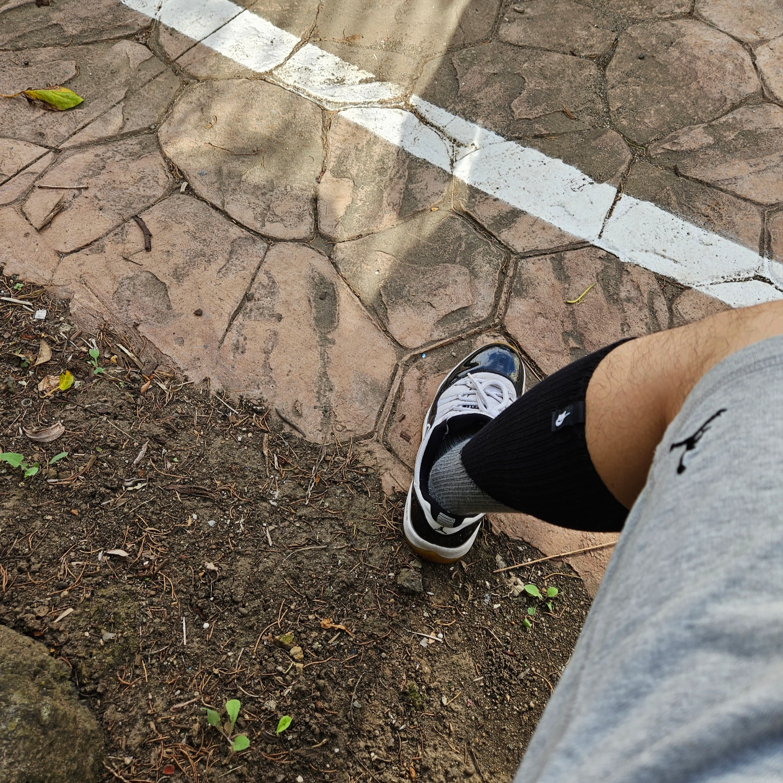 Jordan 11 Retro Low Concord 착용 스타일 - 5