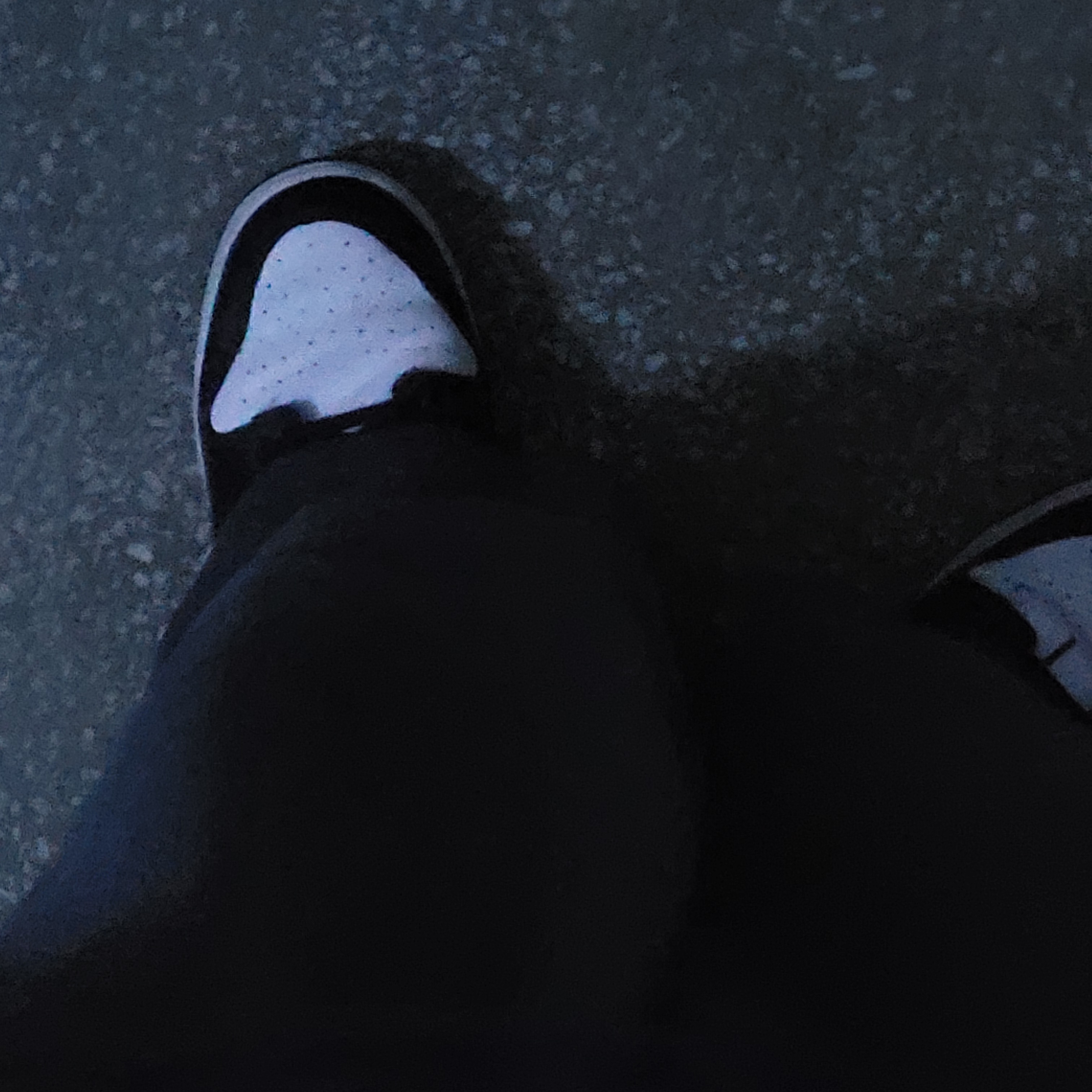 Nike Dunk Low Retro Black 착용 스타일